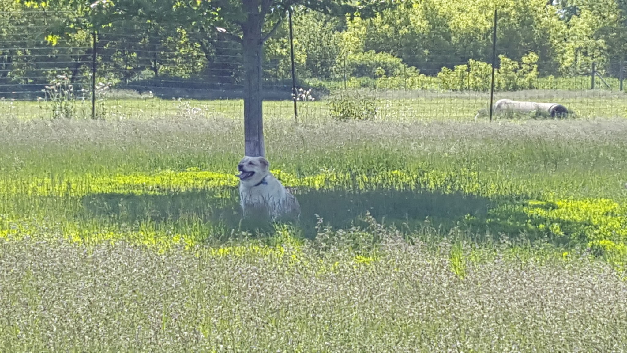 Whitewater Bark Park - Whitewater, WI