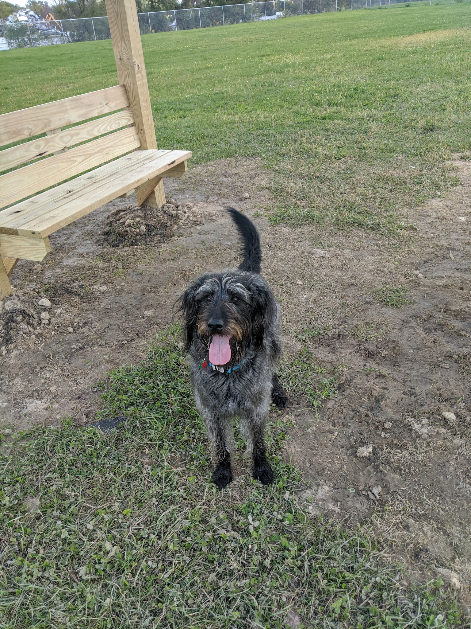 Whitewater Bark Park - Whitewater, WI