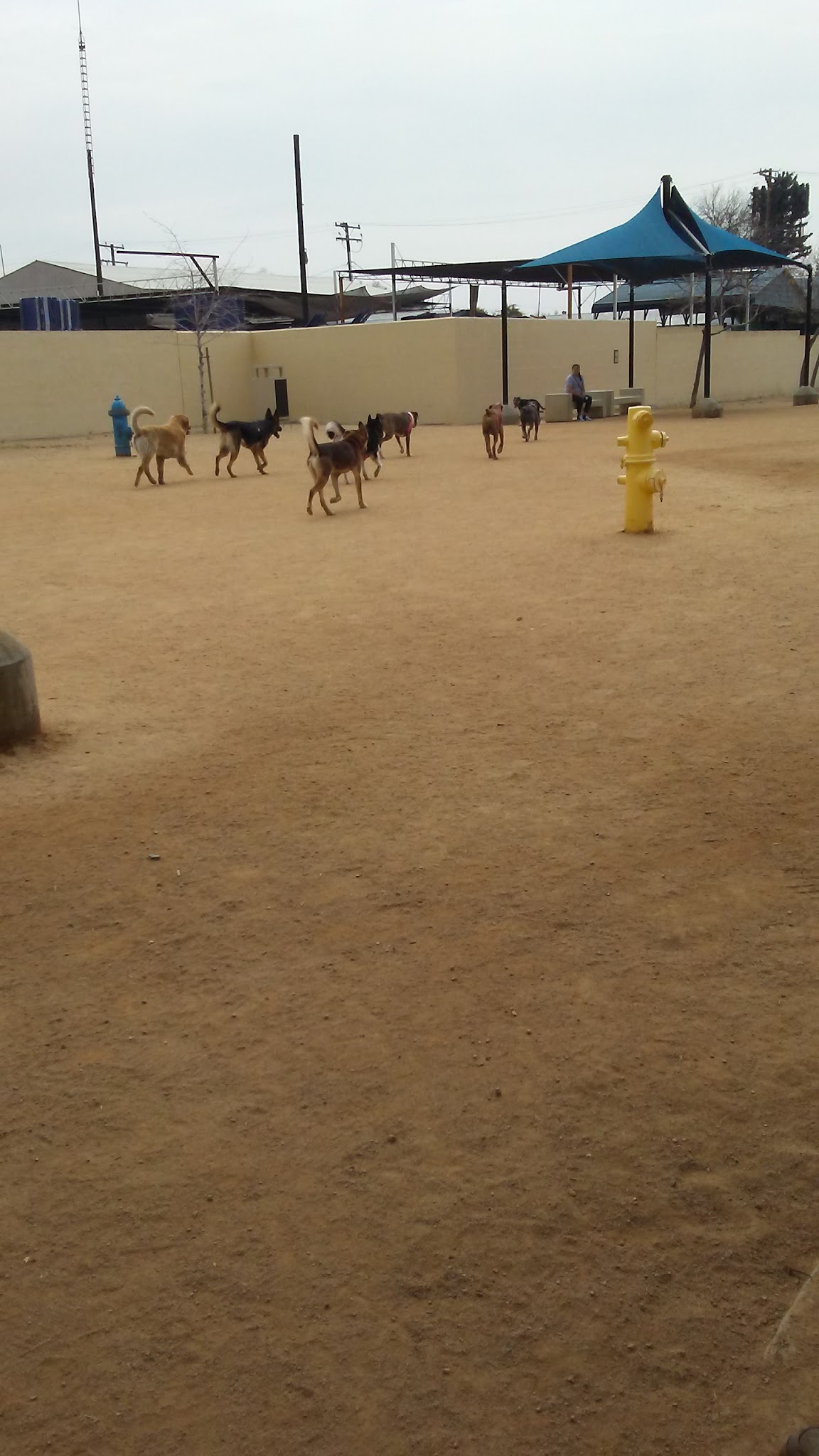 Whittier Dog Park - Whittier, CA