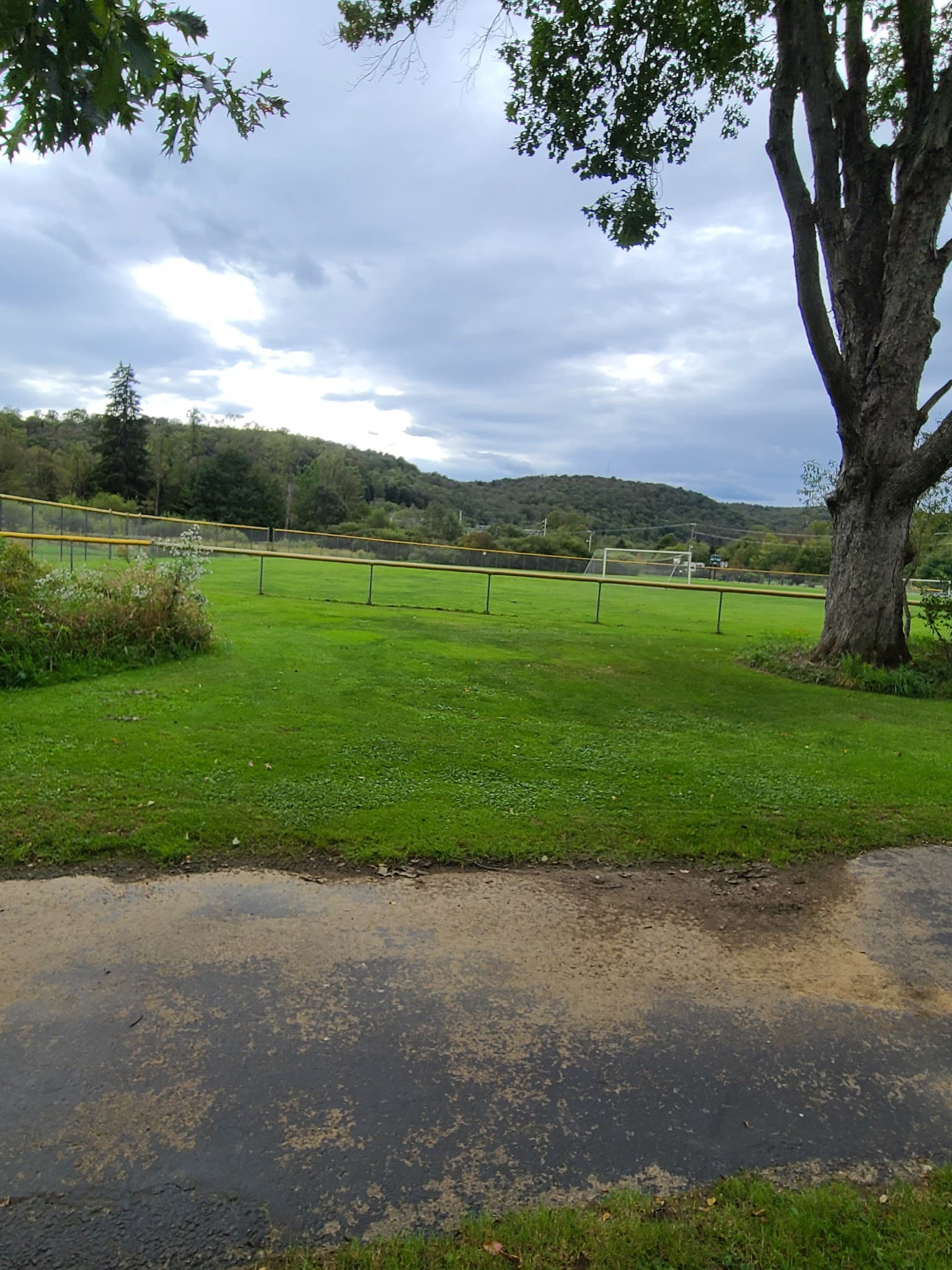Jones Township Community Park - Wilcox, PA