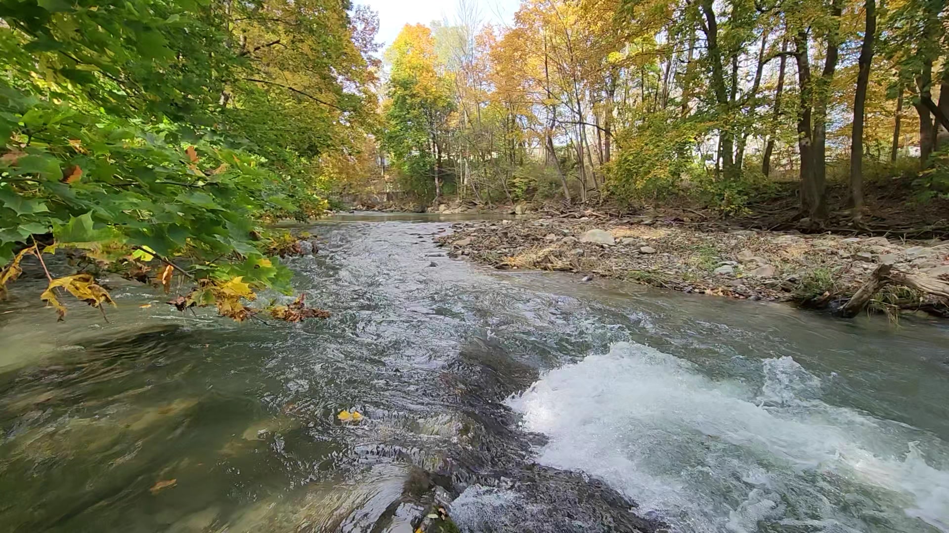 Linear Park - Williamstown, MA