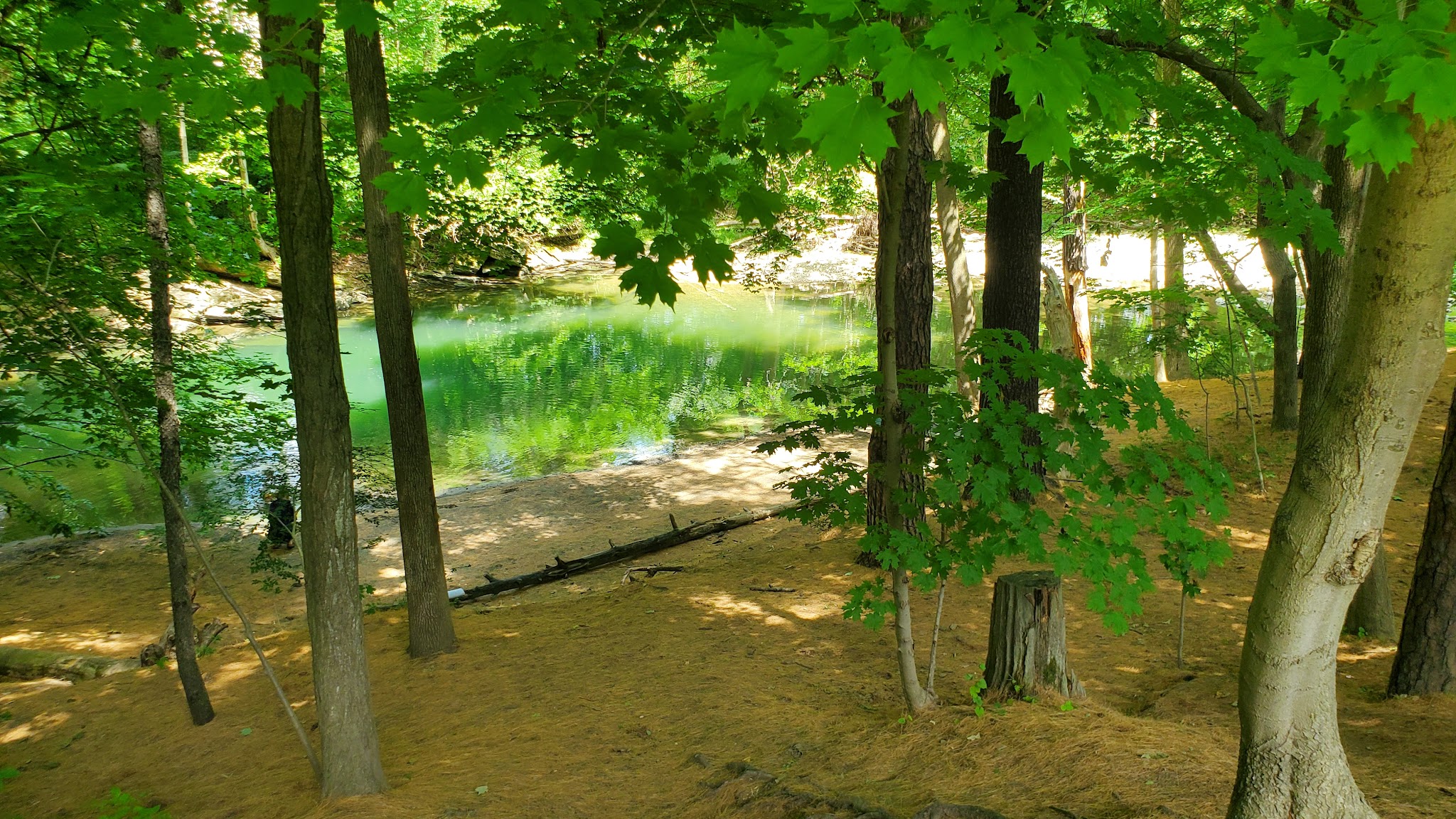 Linear Park - Williamstown, MA