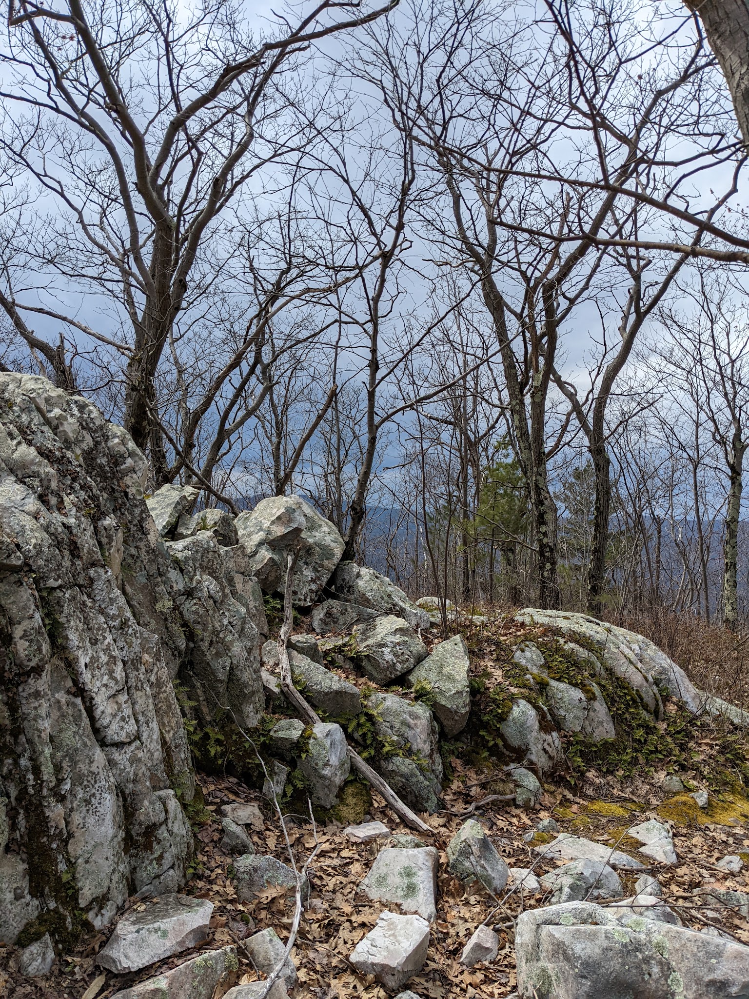 Pine Cobble Trailhead - Williamstown, MA