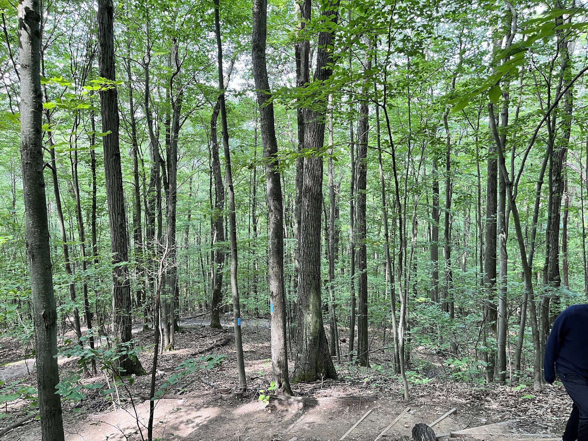 Pine Cobble Trailhead - Williamstown, MA