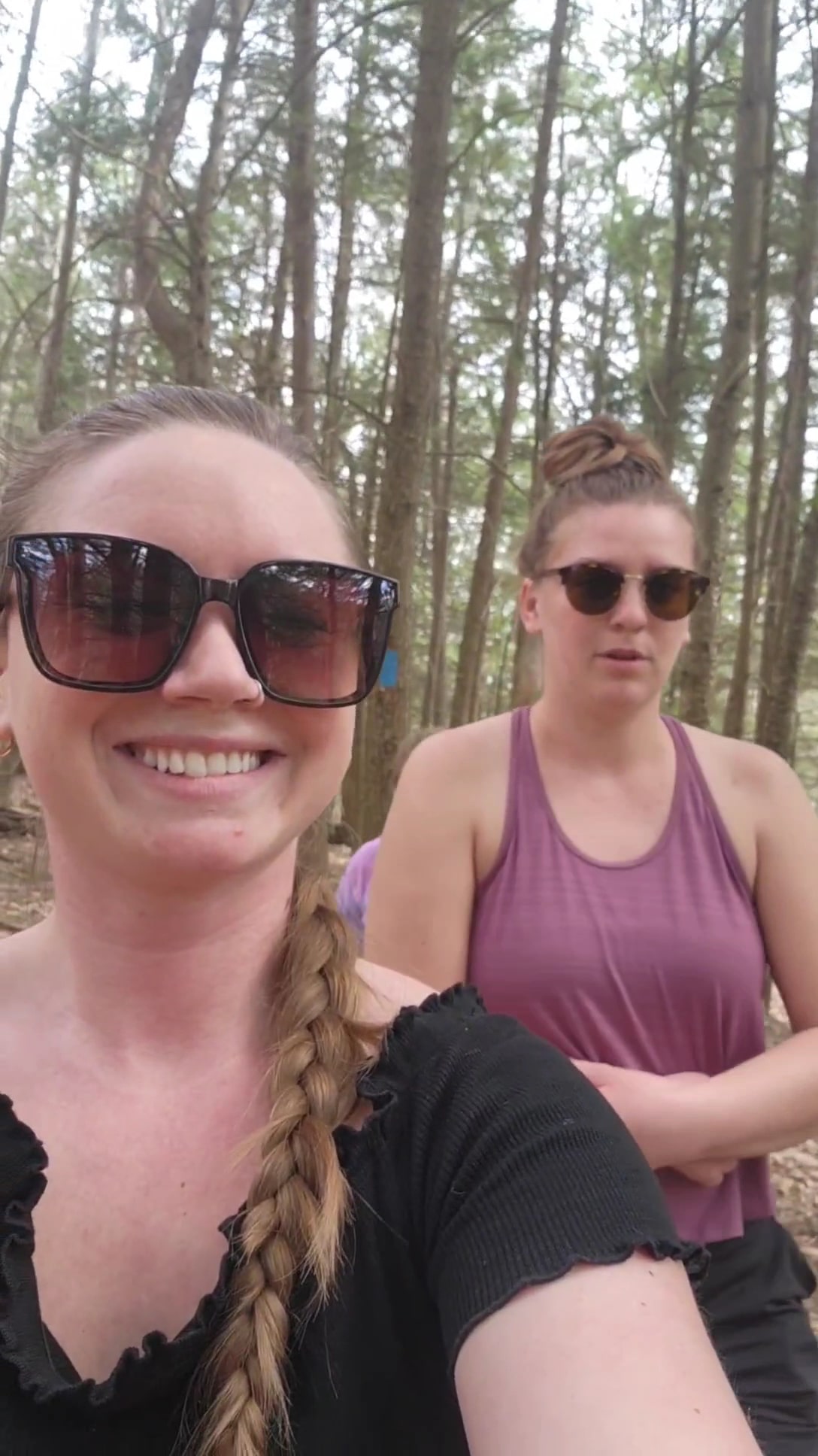 Roaring Brook Trail - Williamstown, MA