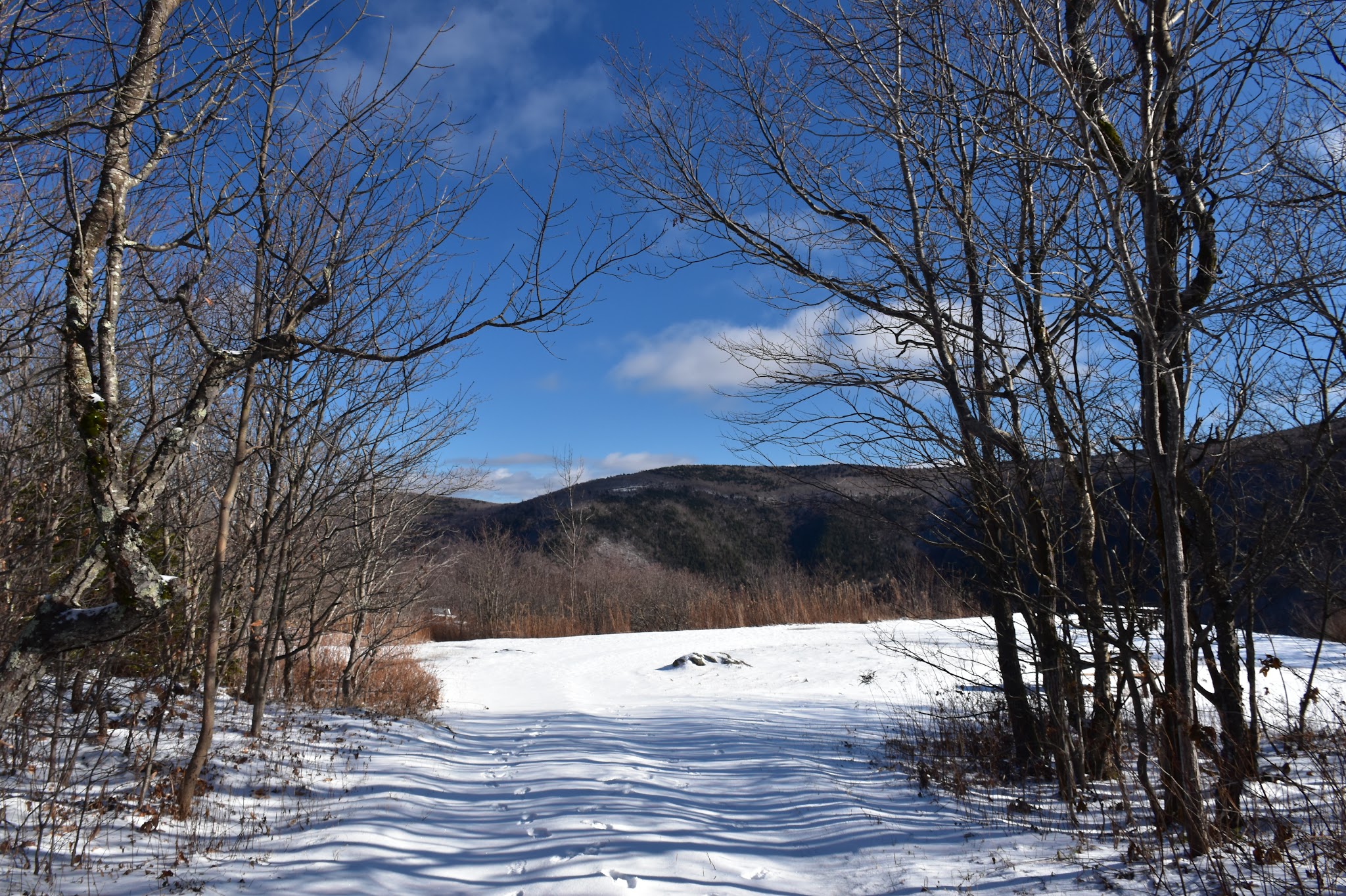 Roaring Brook Trail - Williamstown, MA