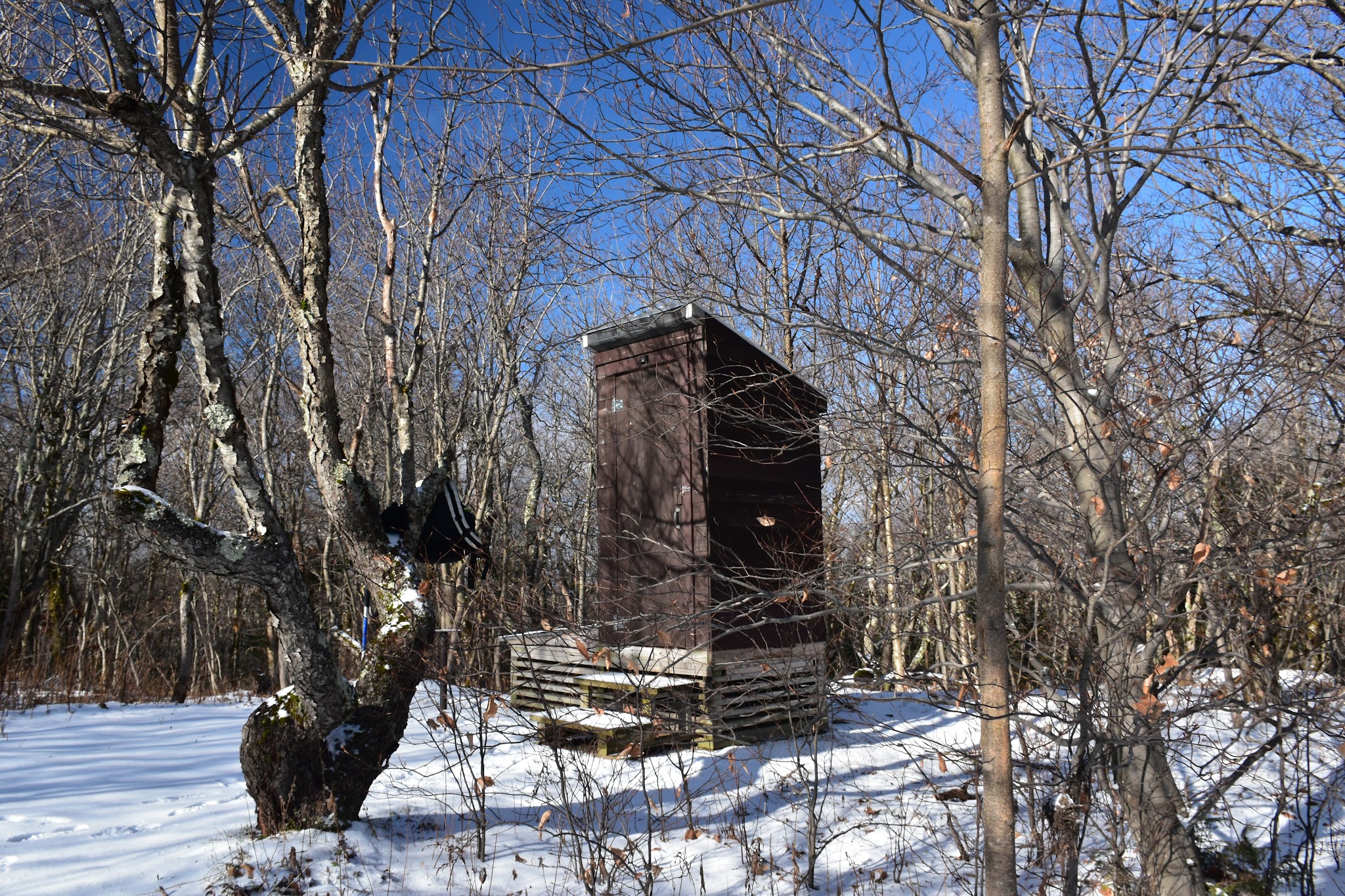 Roaring Brook Trail - Williamstown, MA