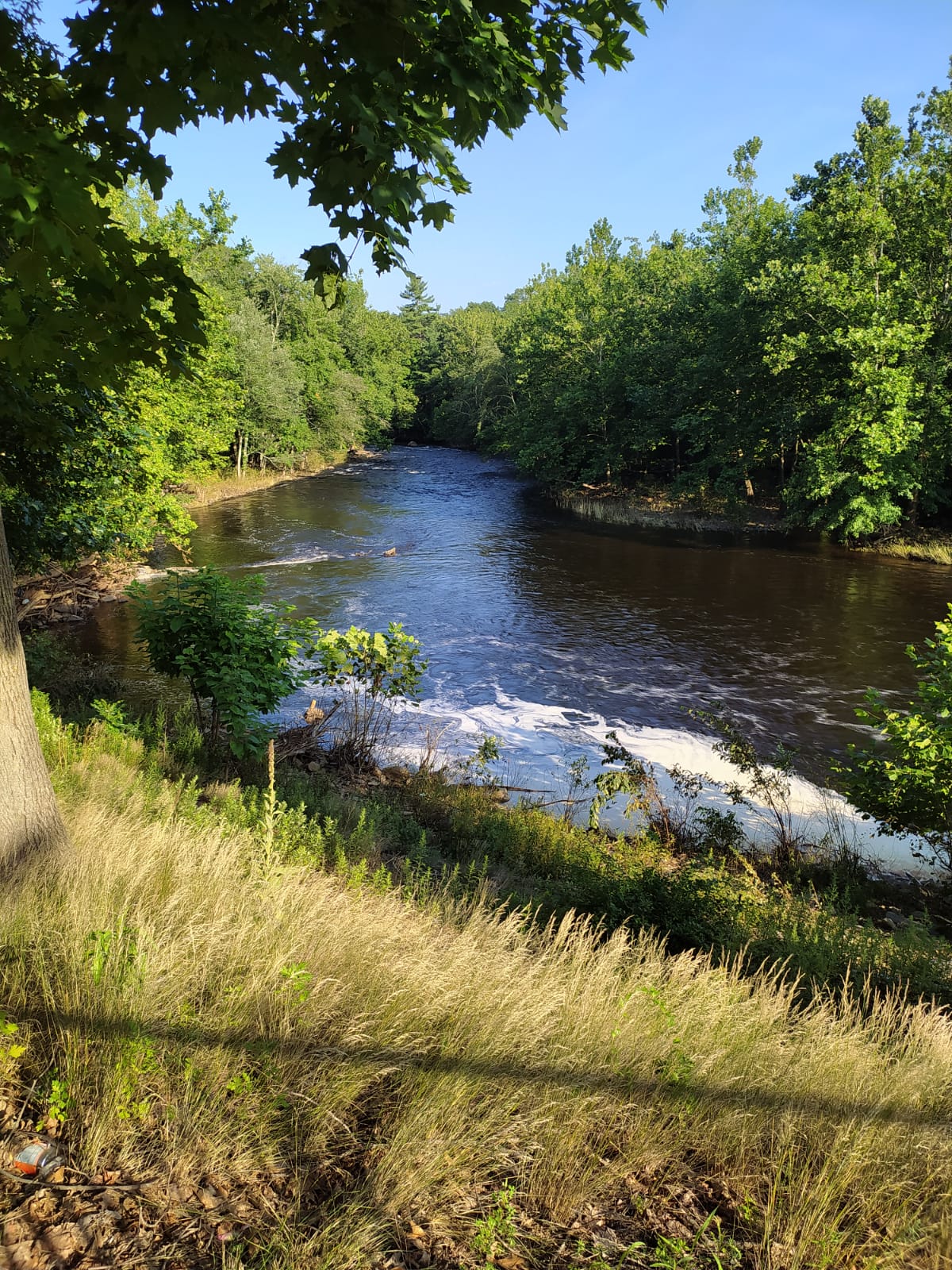 Garden on the Bridge - Willimantic, CT