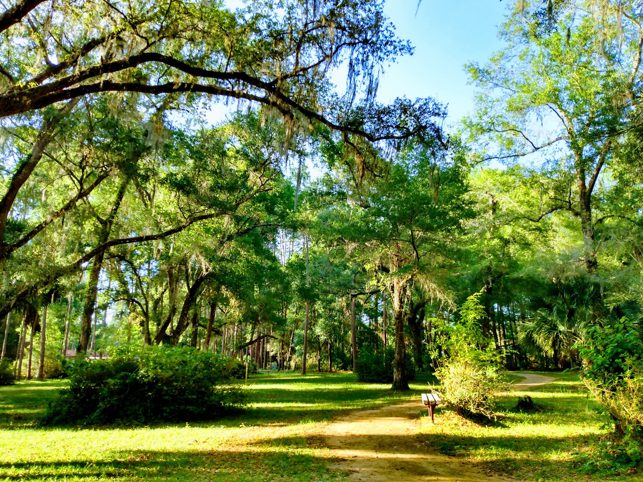 Peggy O'Neill Basham Nature Park - Williston, FL