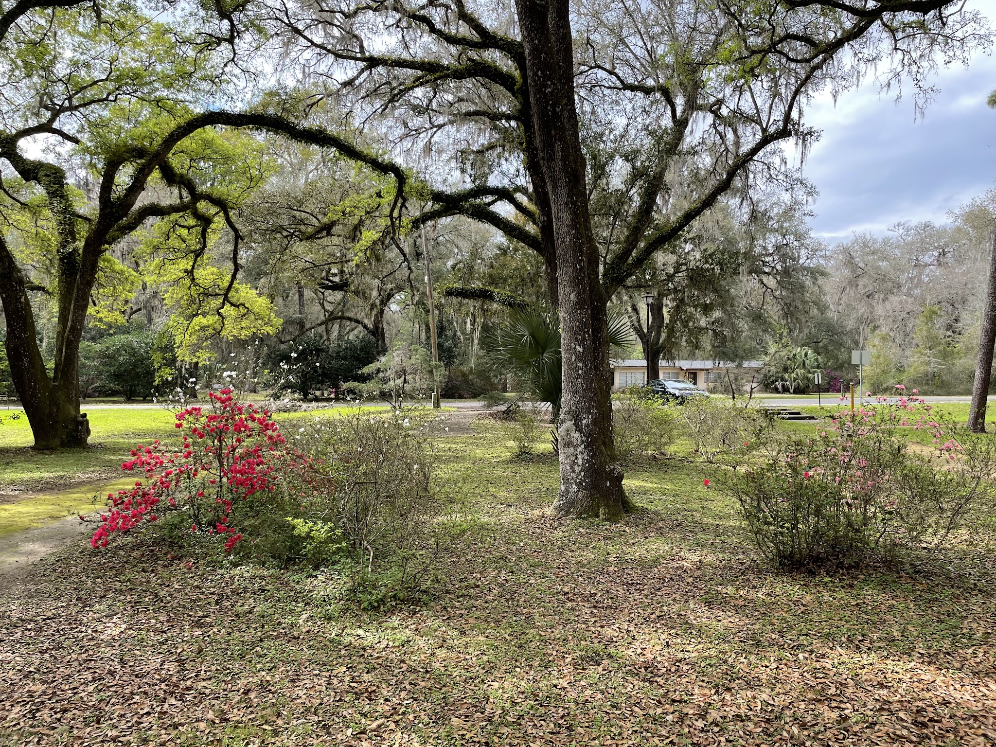 Peggy O'Neill Basham Nature Park - Williston, FL