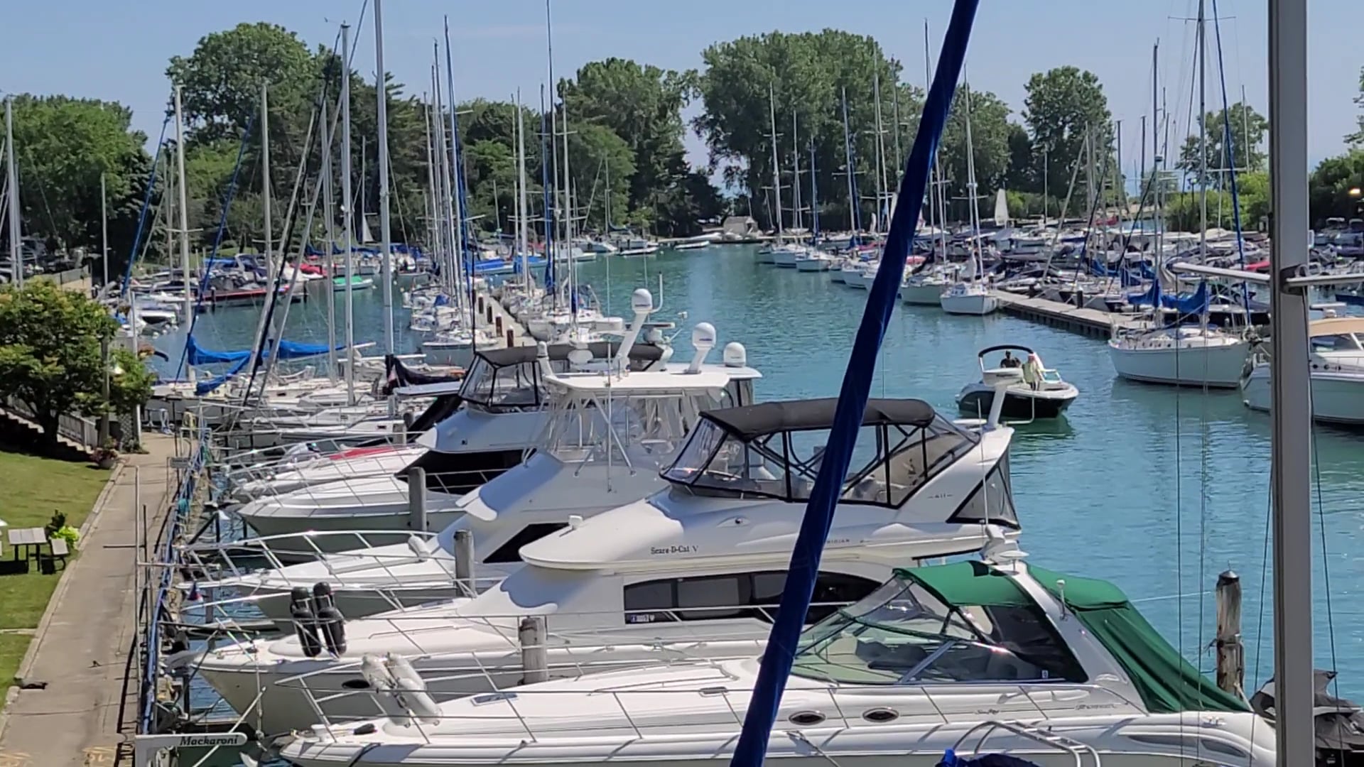 Gillson Park Dog Beach - Wilmette, IL