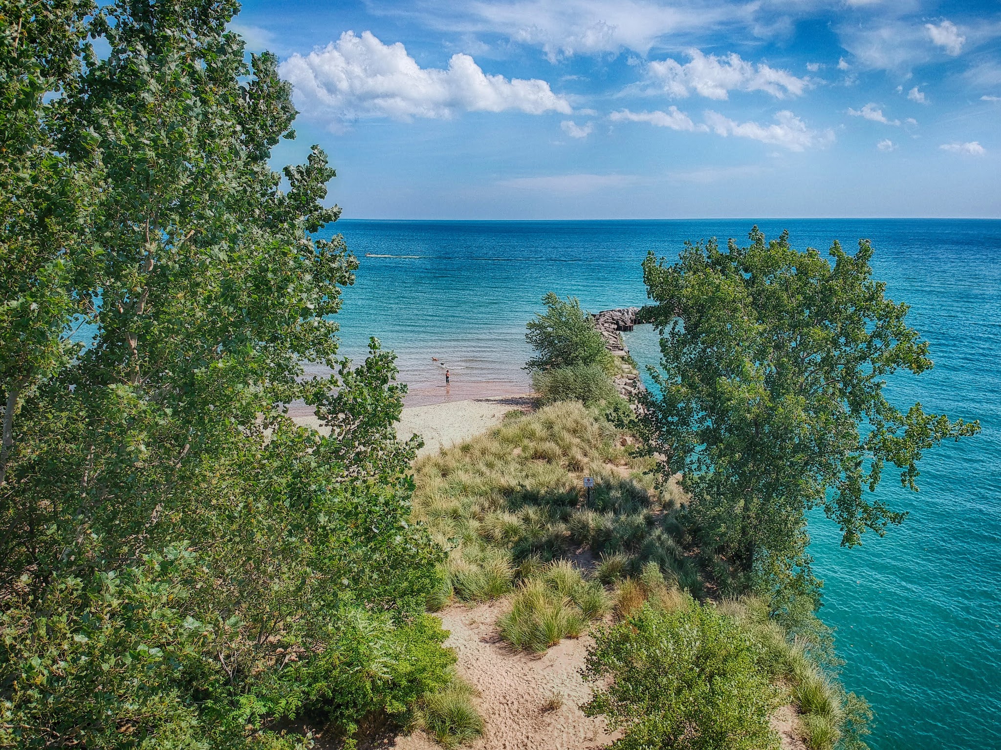 Gillson Park Dog Beach - Wilmette, IL