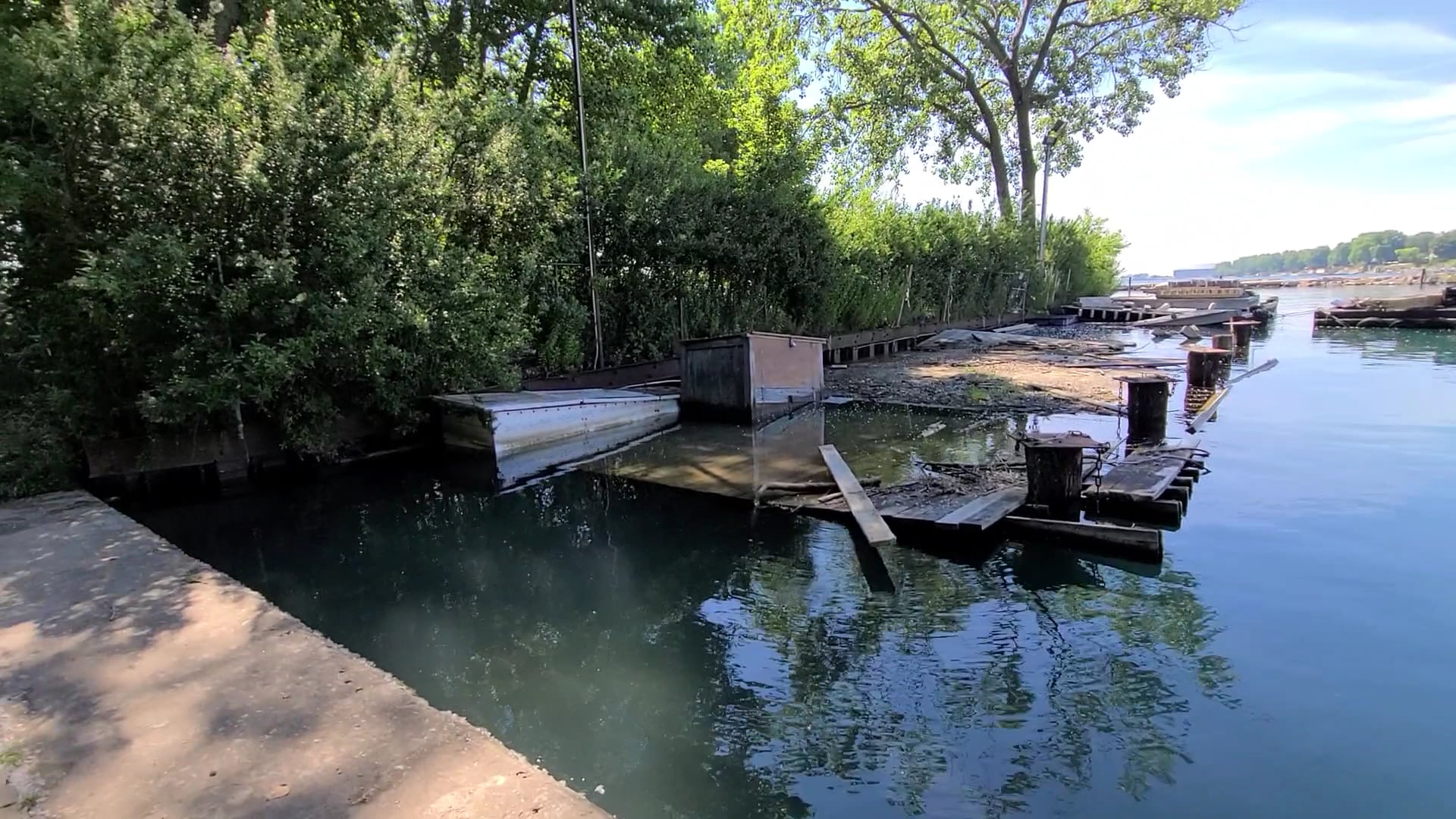 Gillson Park Dog Beach - Wilmette, IL