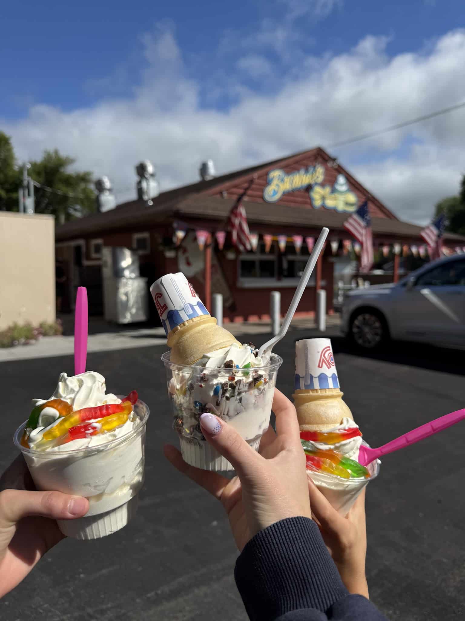 Brownie's Custard Stand / Eats and Treats - Wilson, NY