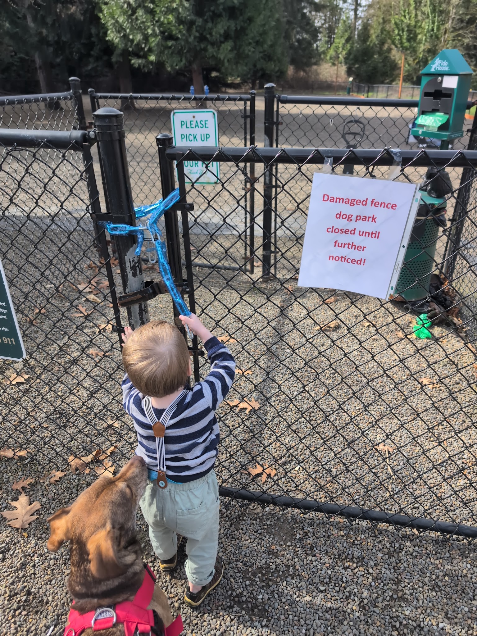 Ash meadows (fenced) dog park - Wilsonville, OR