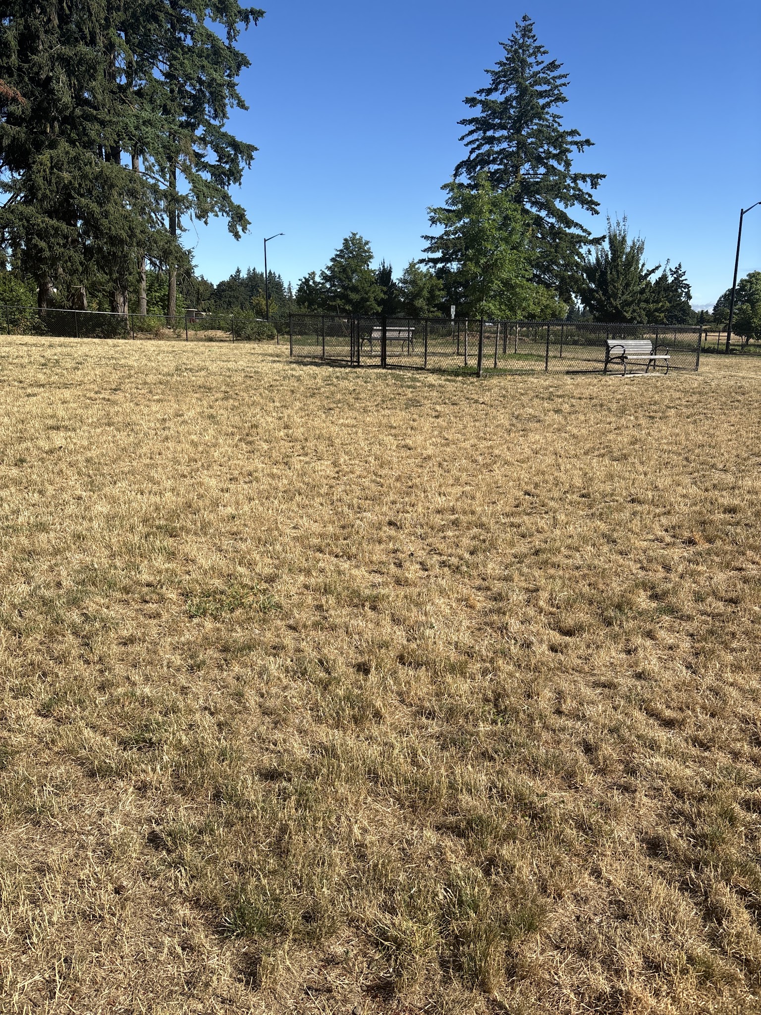 Dog park - Wilsonville, OR