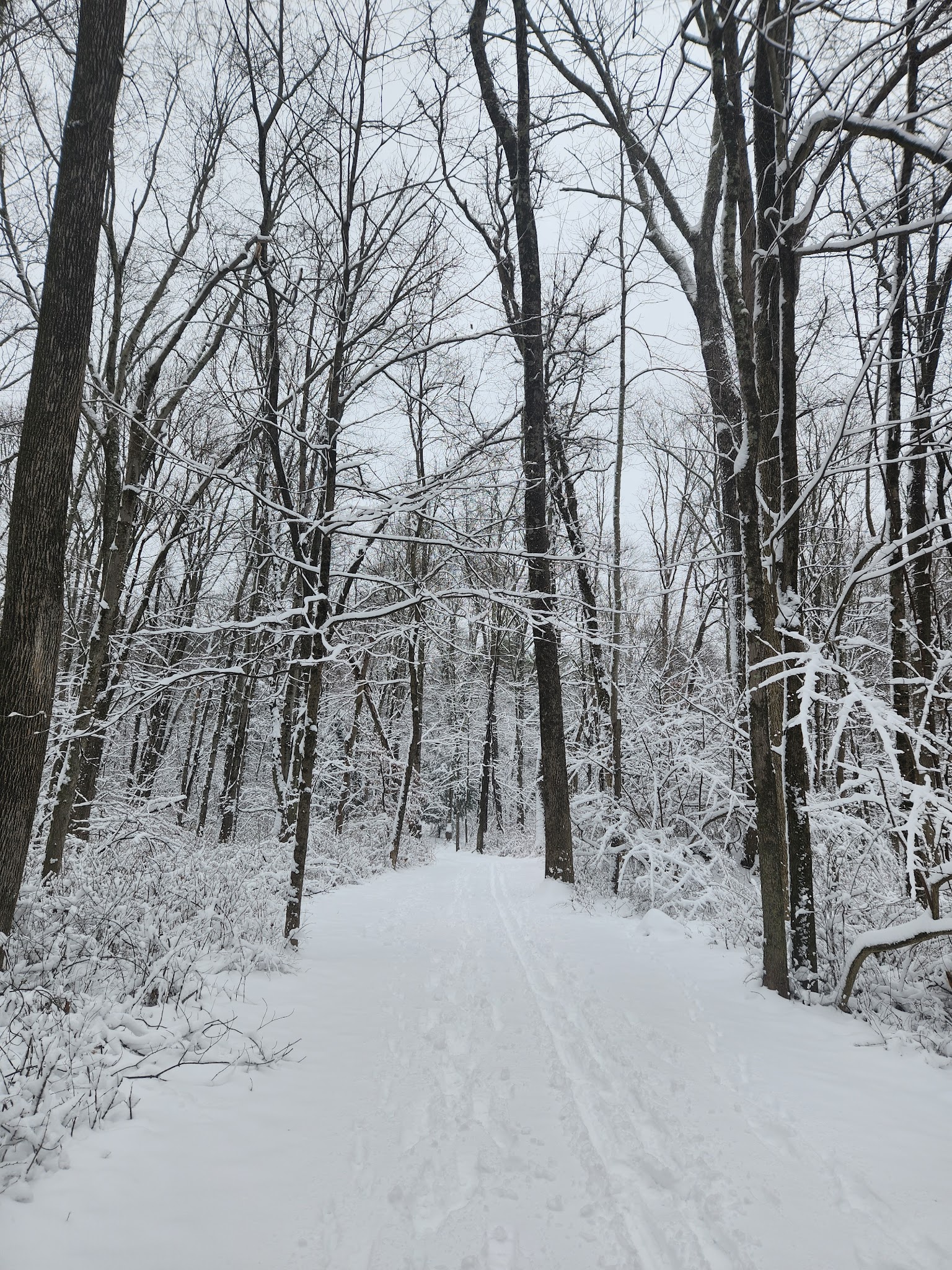 Norwalk River Valley Trail (Skunk Lane Entrance) - Wilton, CT