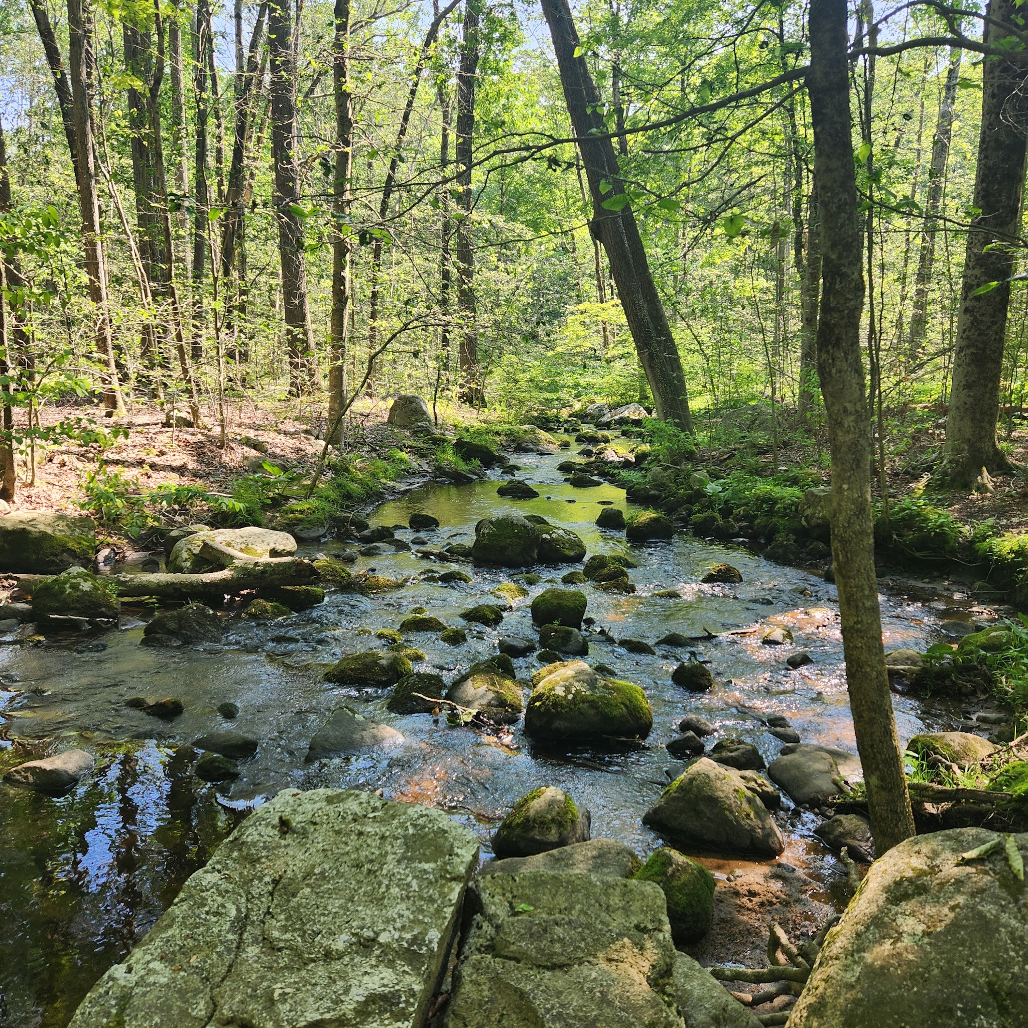 Quarry Head Park - Wilton, CT
