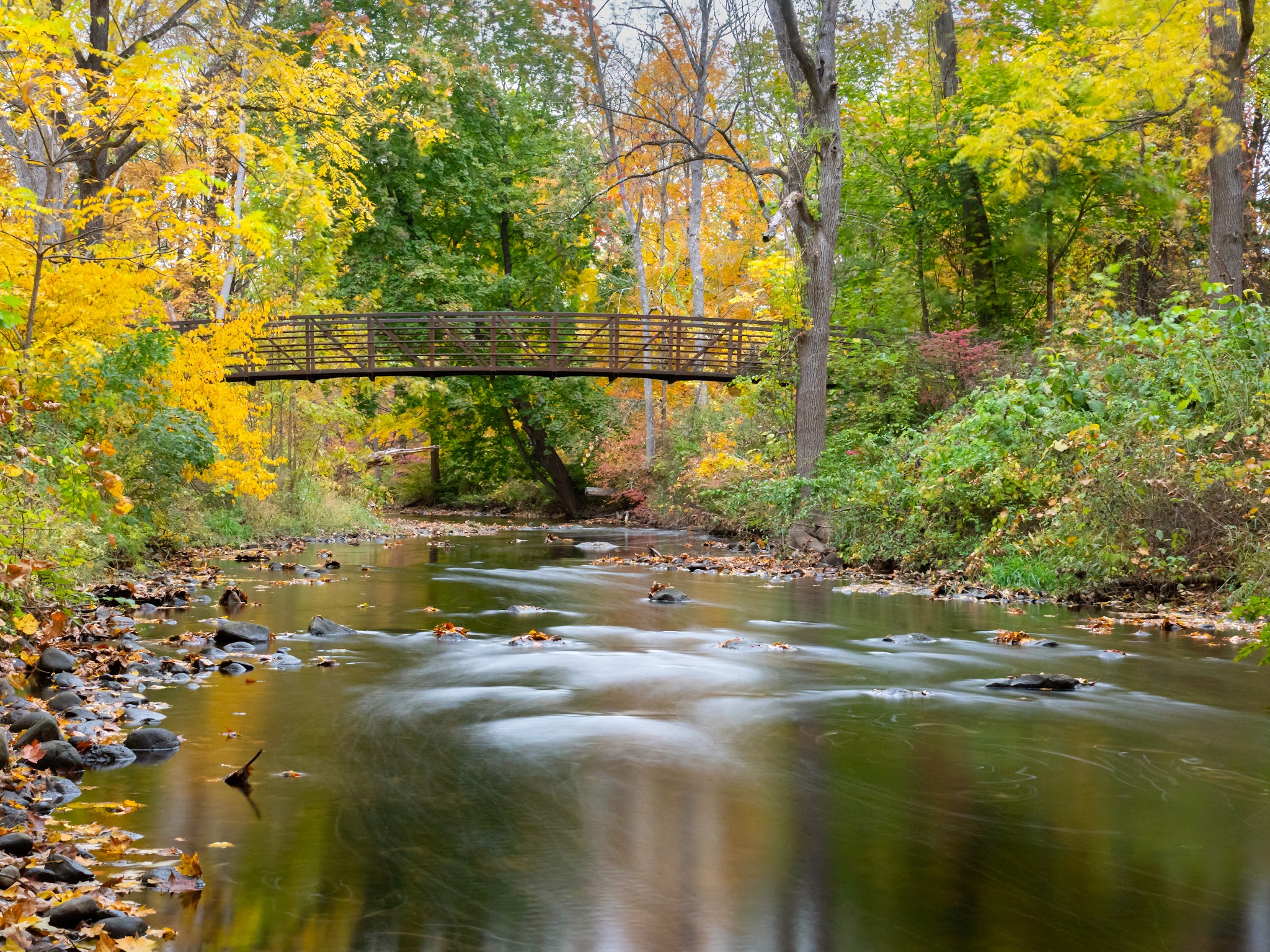 Schenck's Island - Wilton, CT