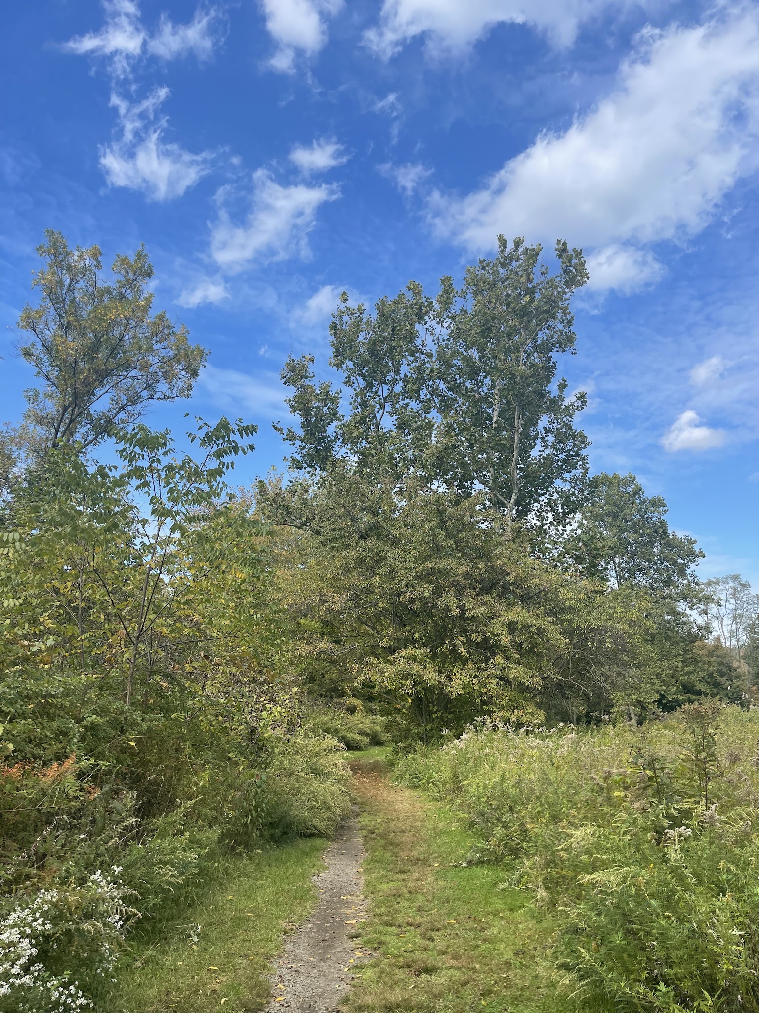 Schenck's Island - Wilton, CT