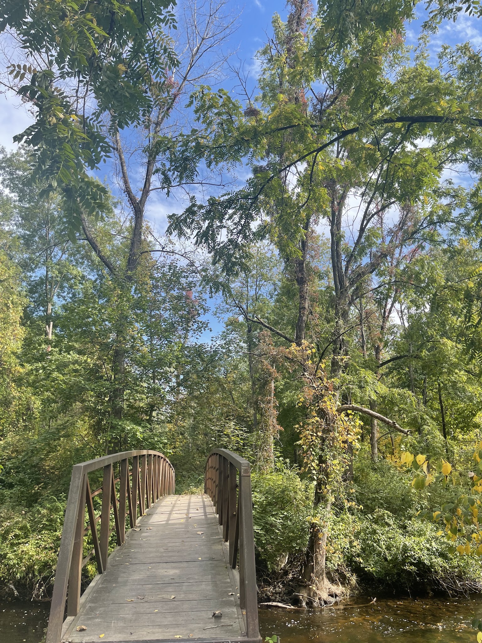 Schenck's Island - Wilton, CT