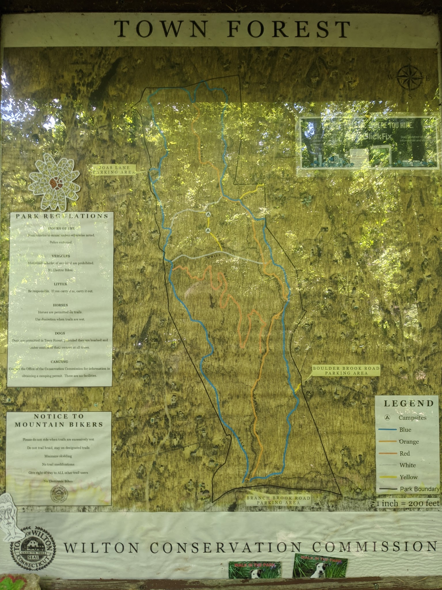 Wilton Town Forest - Wilton, CT