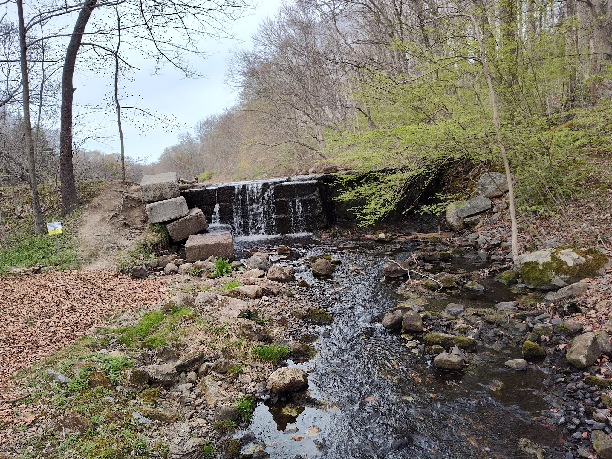 Woodcock Nature Center - Wilton, CT