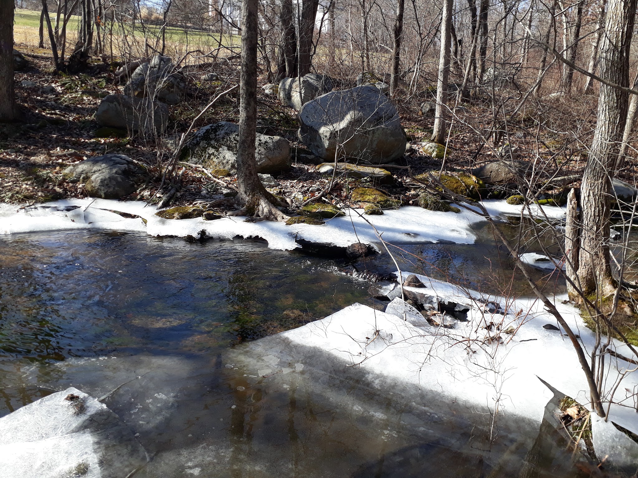 Woodcock Nature Center - Wilton, CT