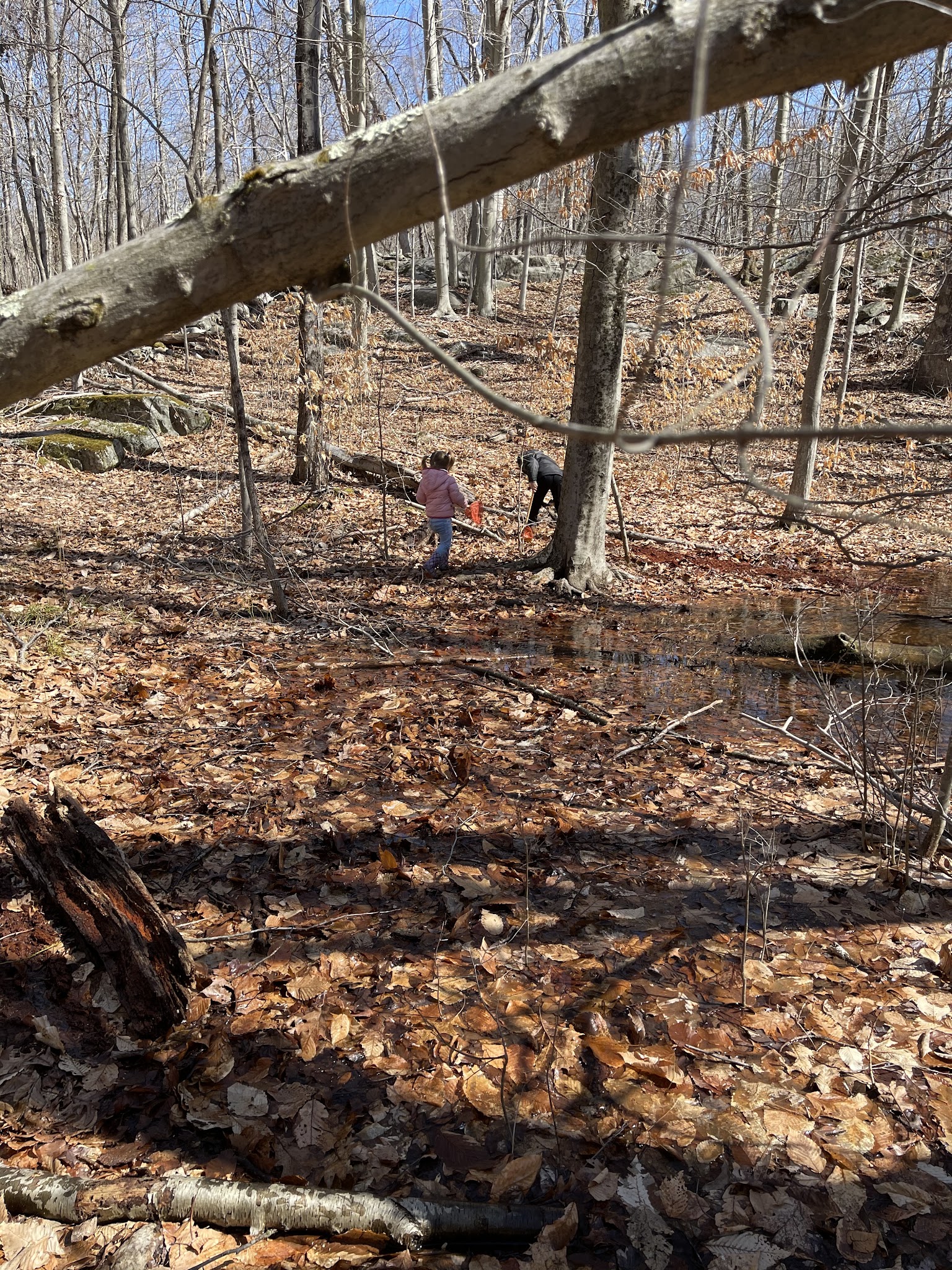 Woodcock Nature Center - Wilton, CT