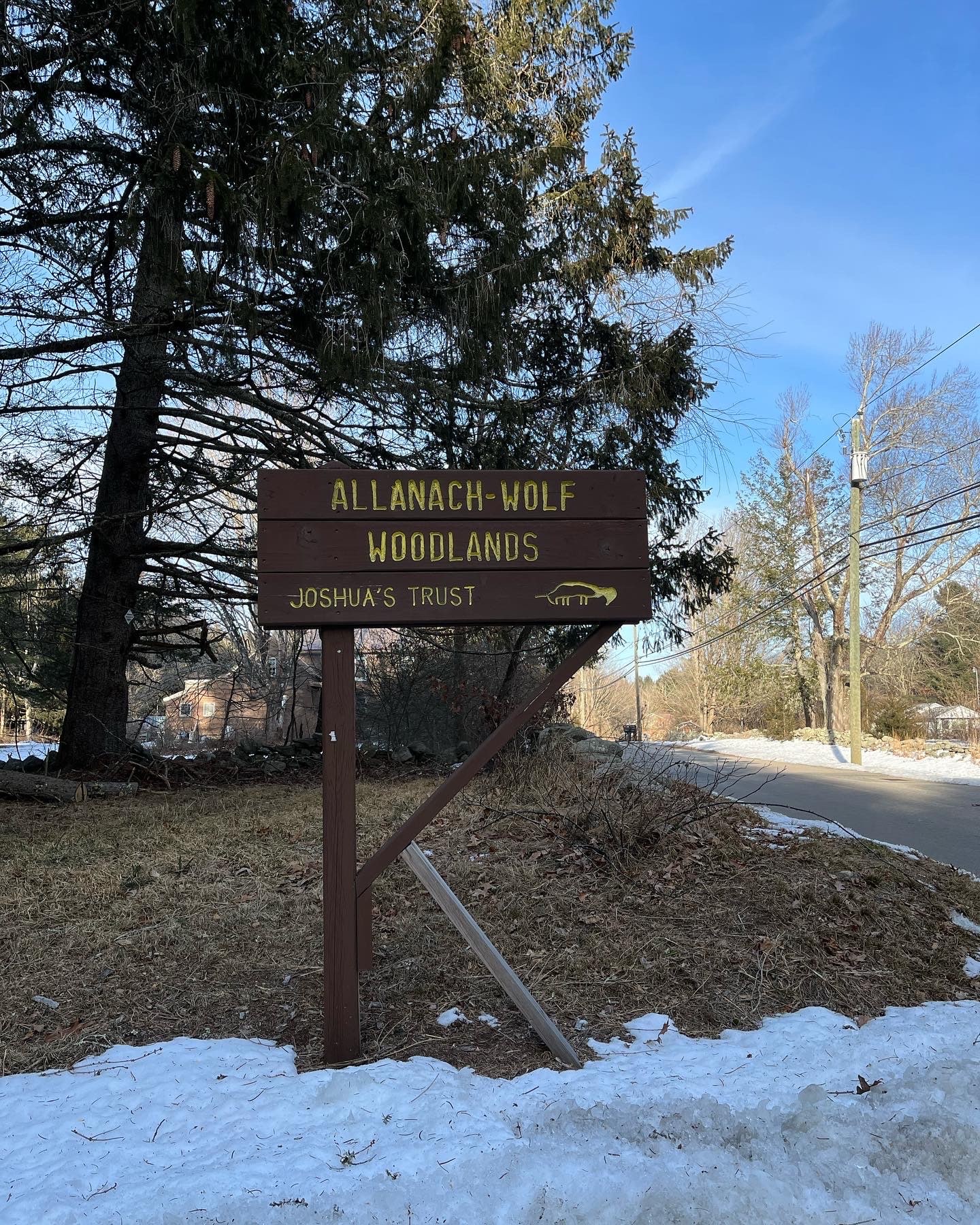 Allanach-Wolf Woodlands - Windham, CT