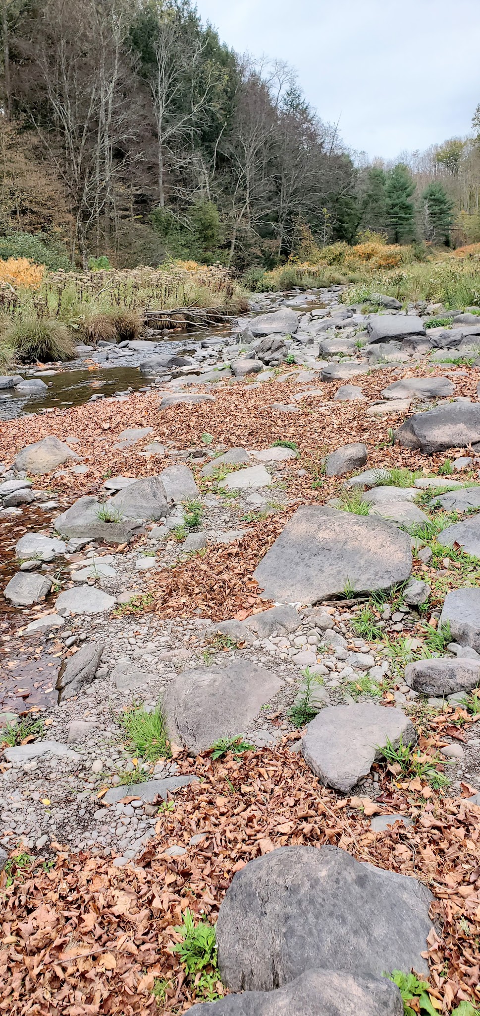 Windham Creamery Pond Park - Windham, NY