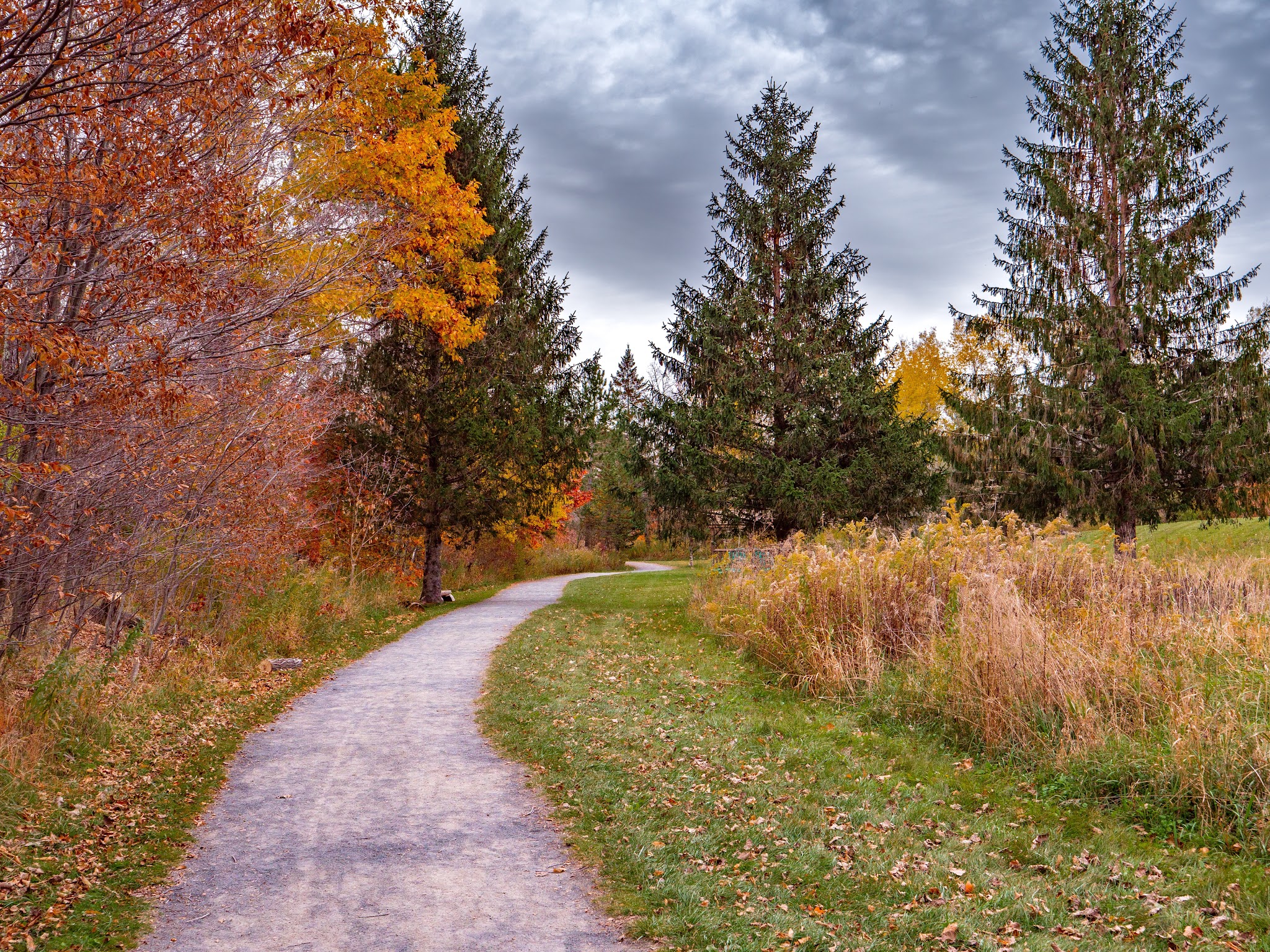 Windham Path 296 Parking - Windham, NY