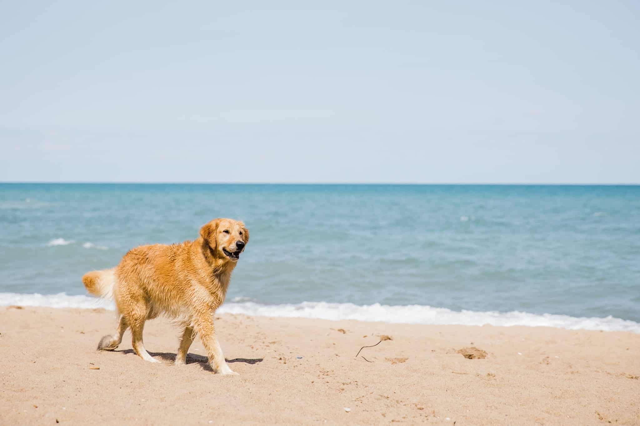 Centennial Park - Winnetka, IL