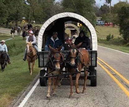 Winnsboro City Park - Winnsboro, TX
