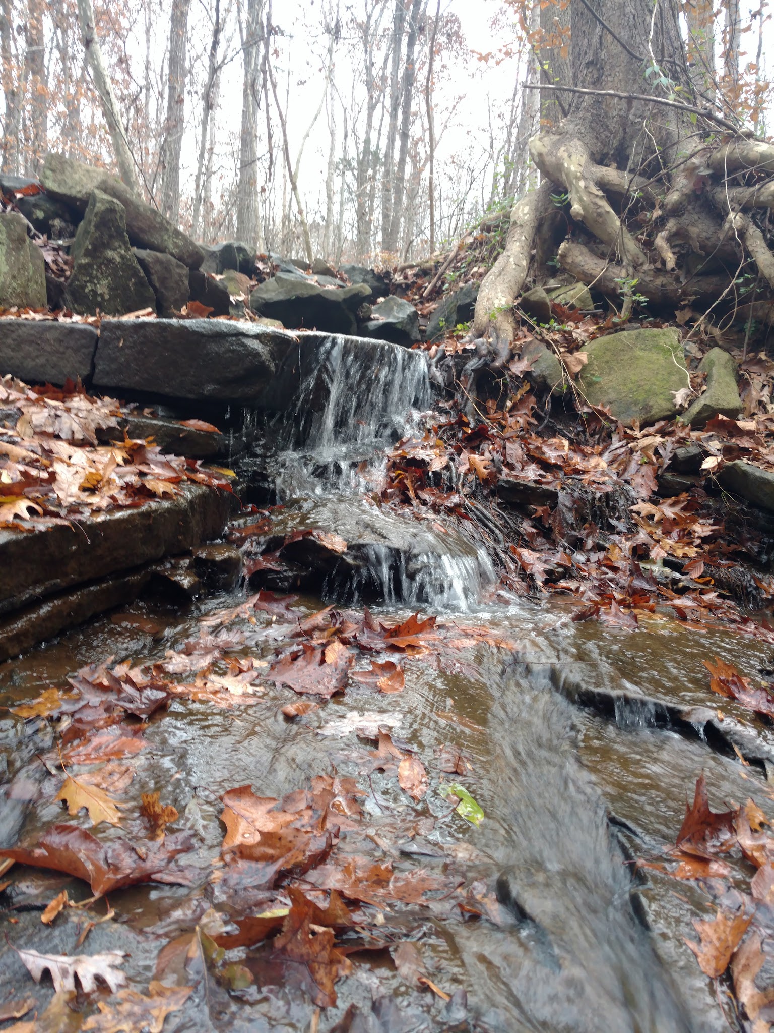 Hobby Park - Winston-Salem, NC