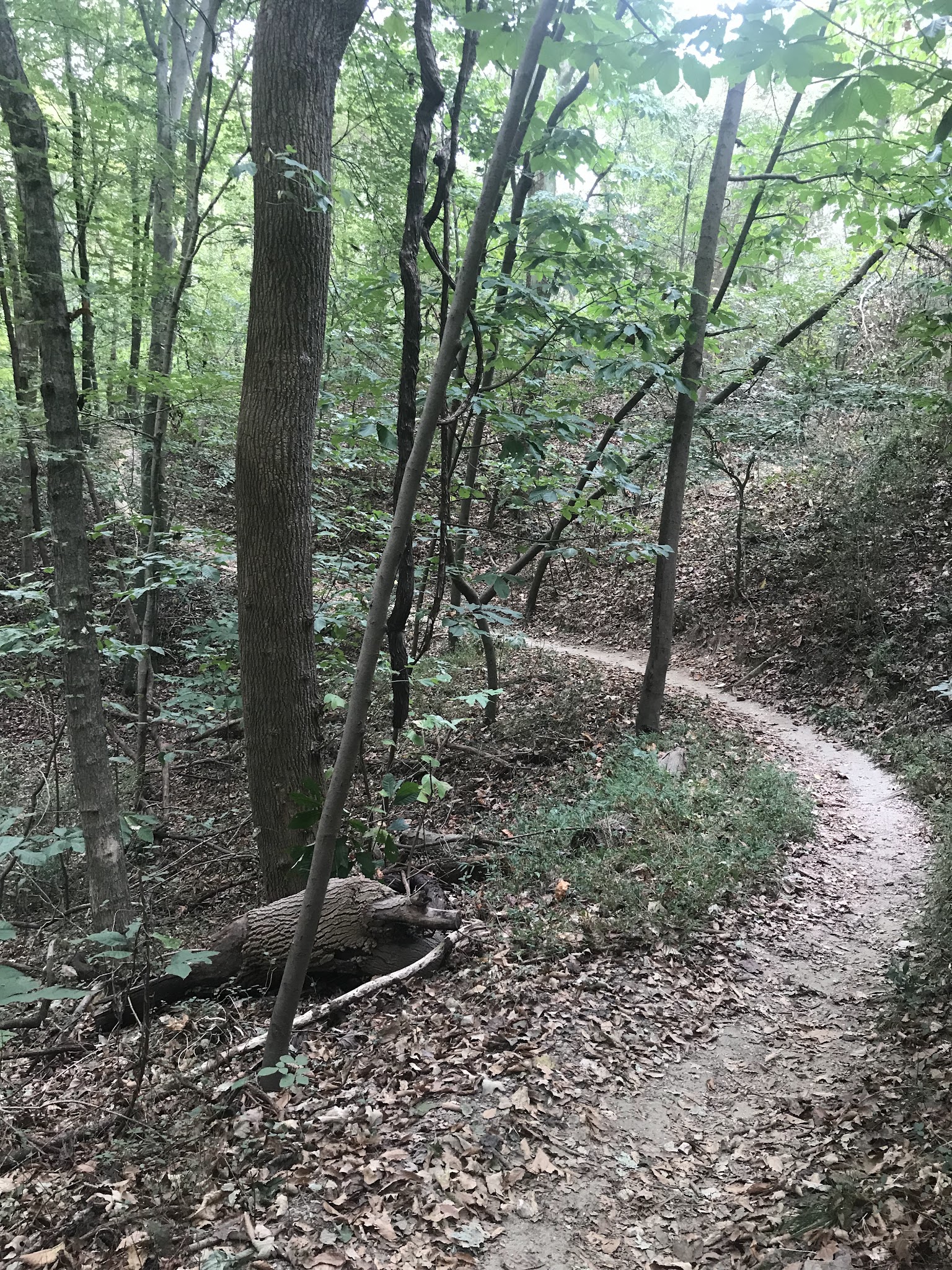 Hobby Park - Winston-Salem, NC