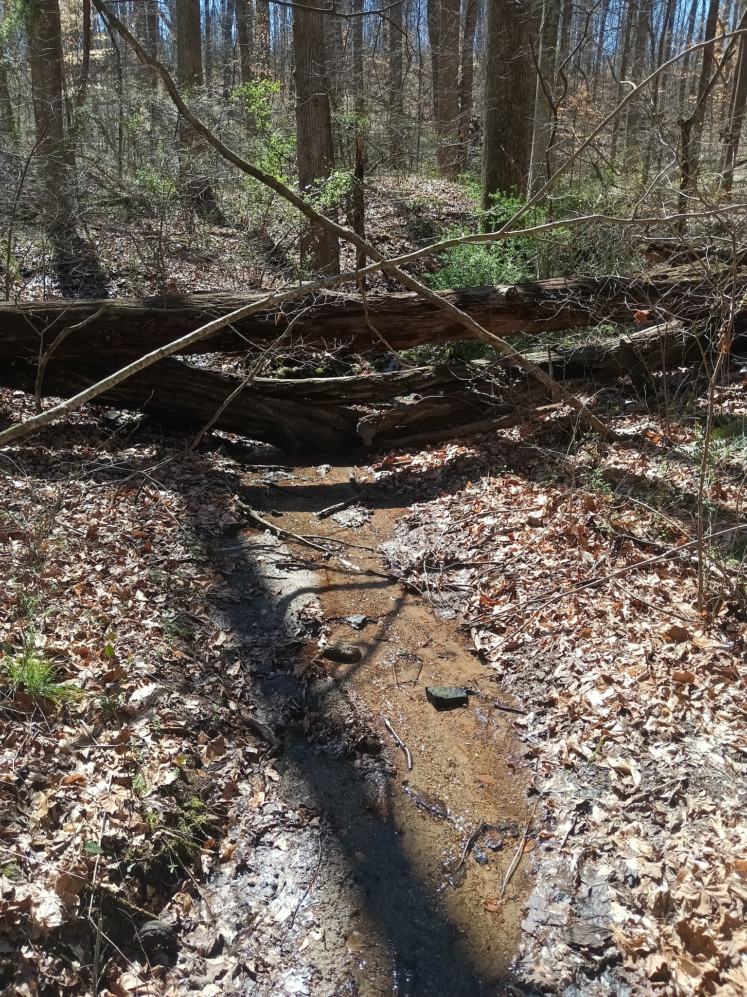 Hobby Park - Winston-Salem, NC