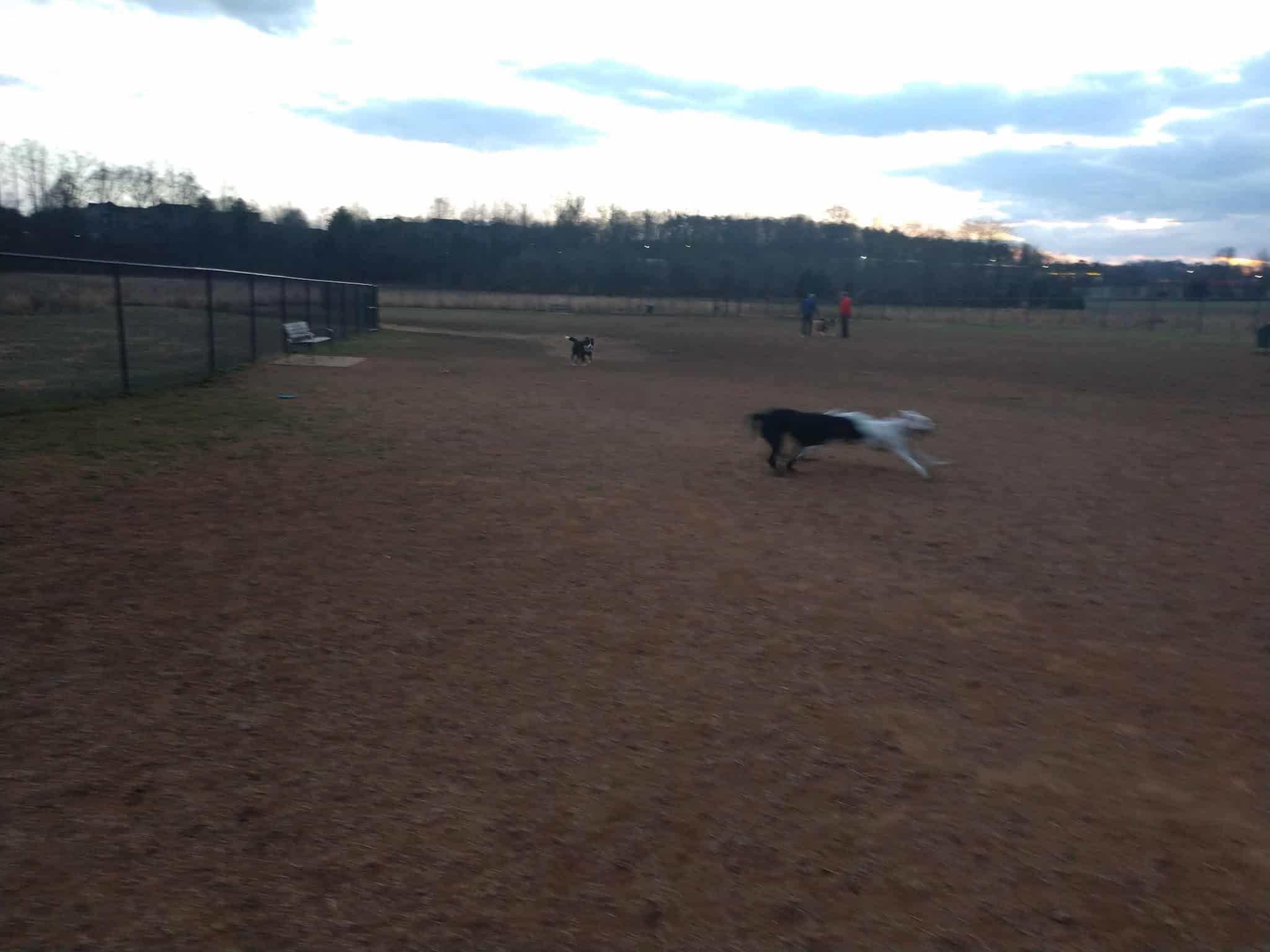 Meadowlark Dog Run - Winston-Salem, NC