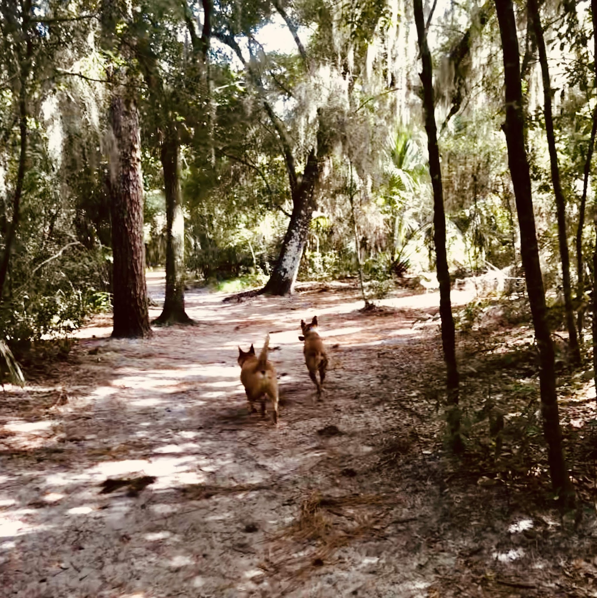 Lake Baldwin Park - Winter Park, FL