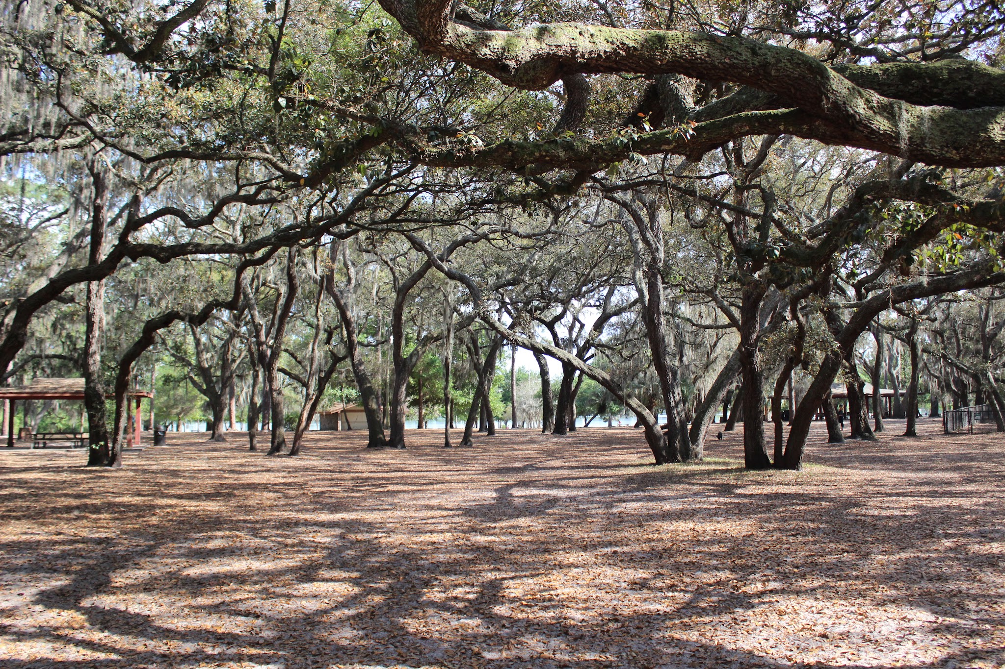 Lake Baldwin Park - Winter Park, FL
