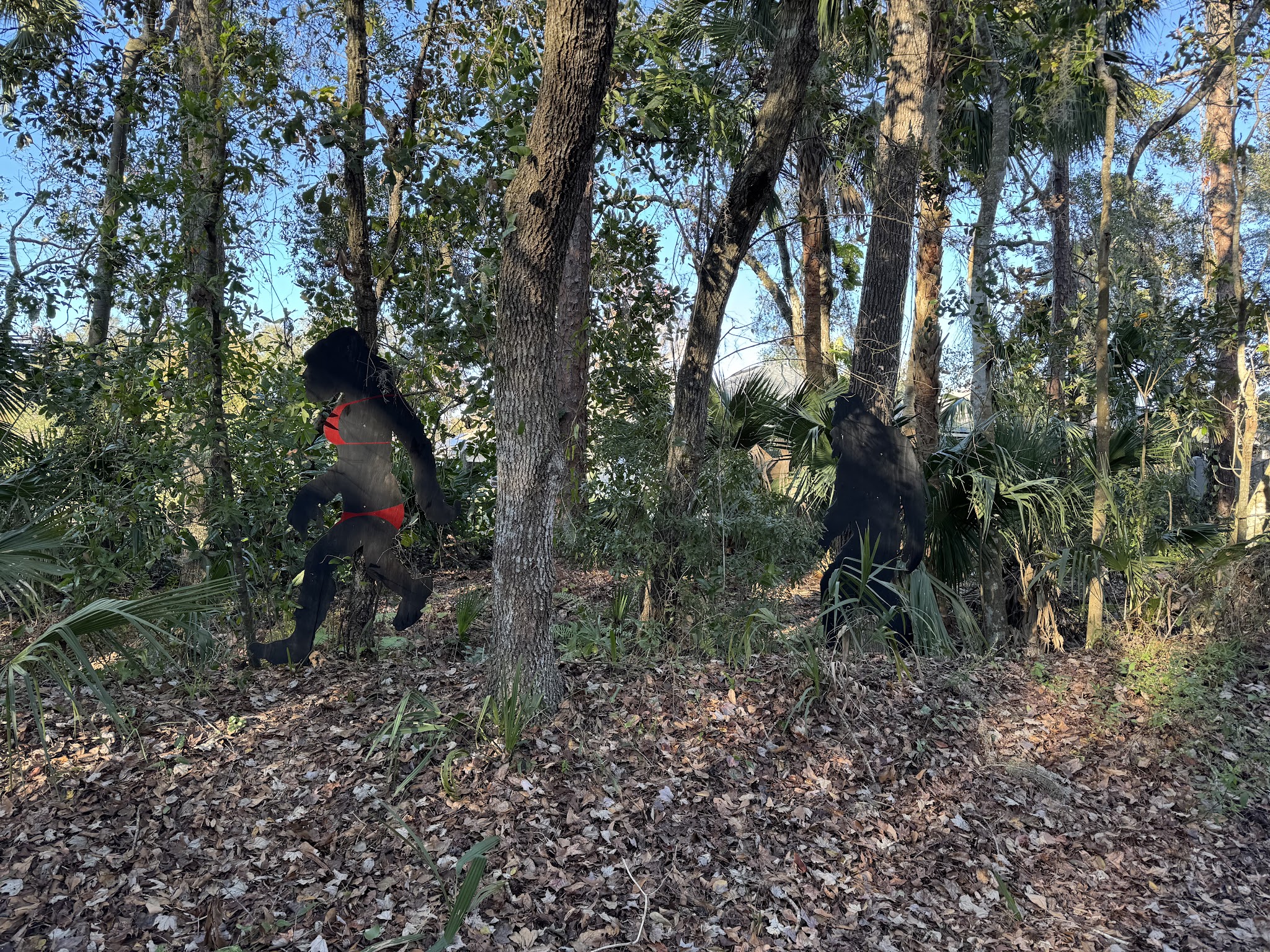 Black Hammock Trailhead - Winter Springs, FL