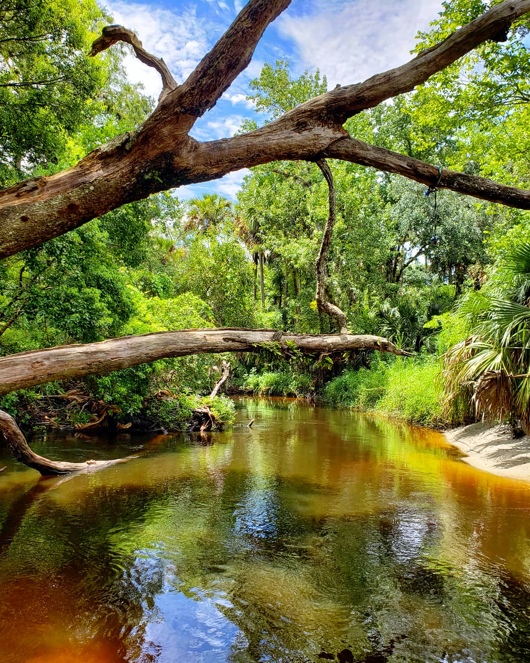 Black Hammock Trailhead - Winter Springs, FL