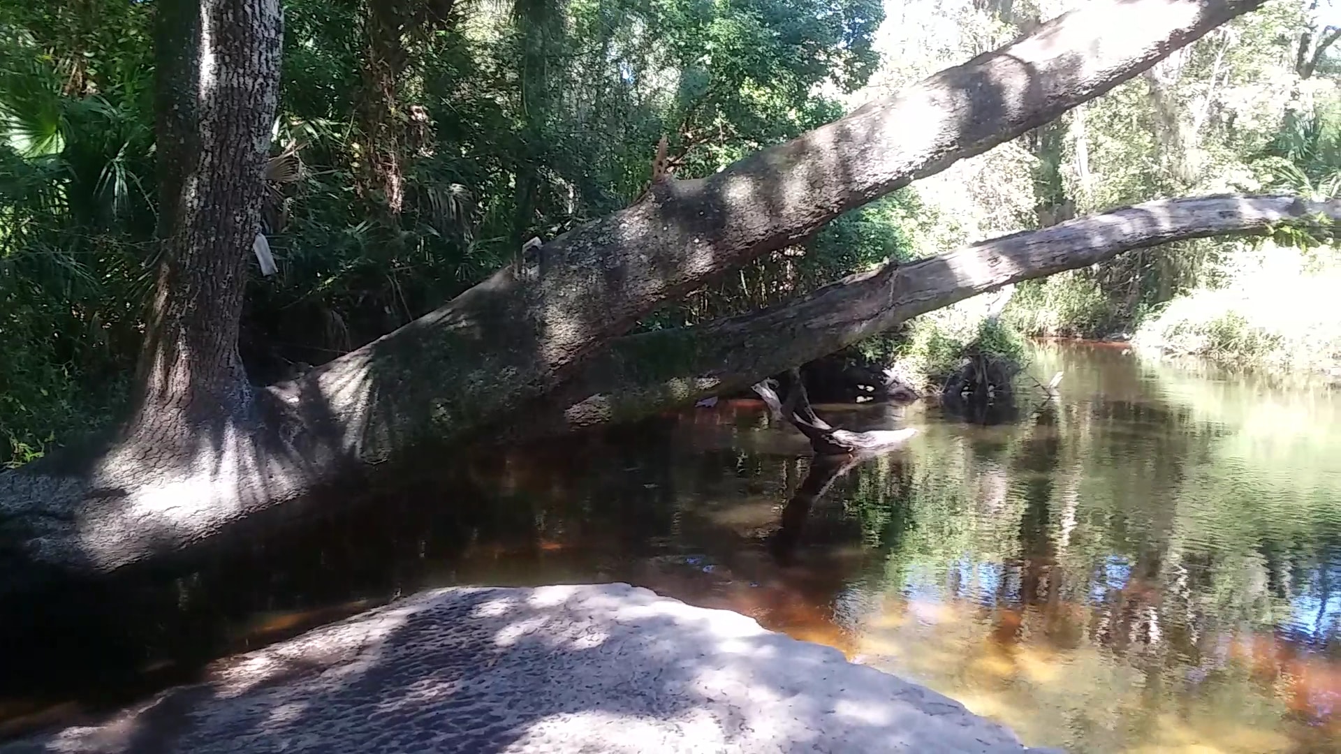 Black Hammock Trailhead - Winter Springs, FL