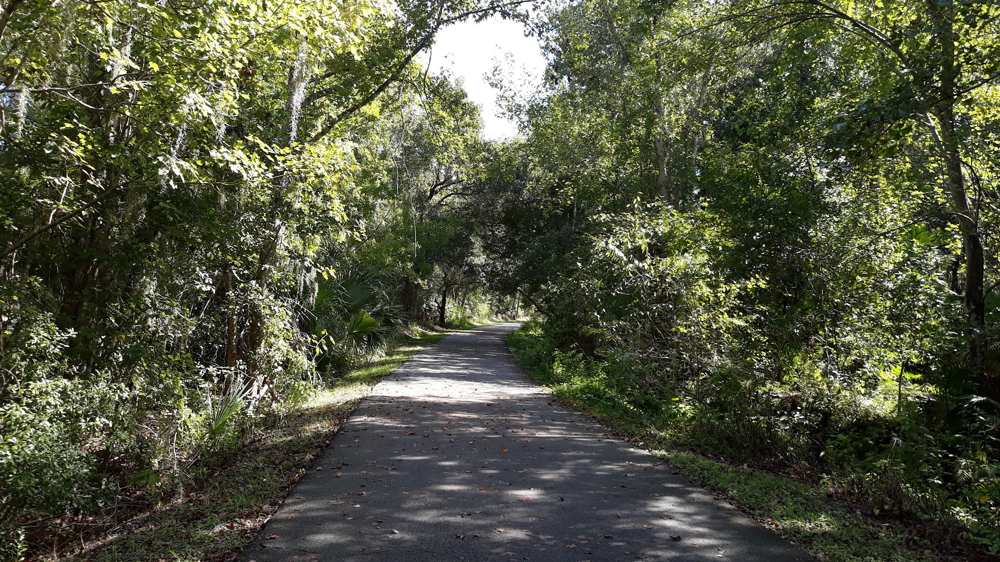 Black Hammock Trailhead Vitacourse 2000 - Winter Springs, FL