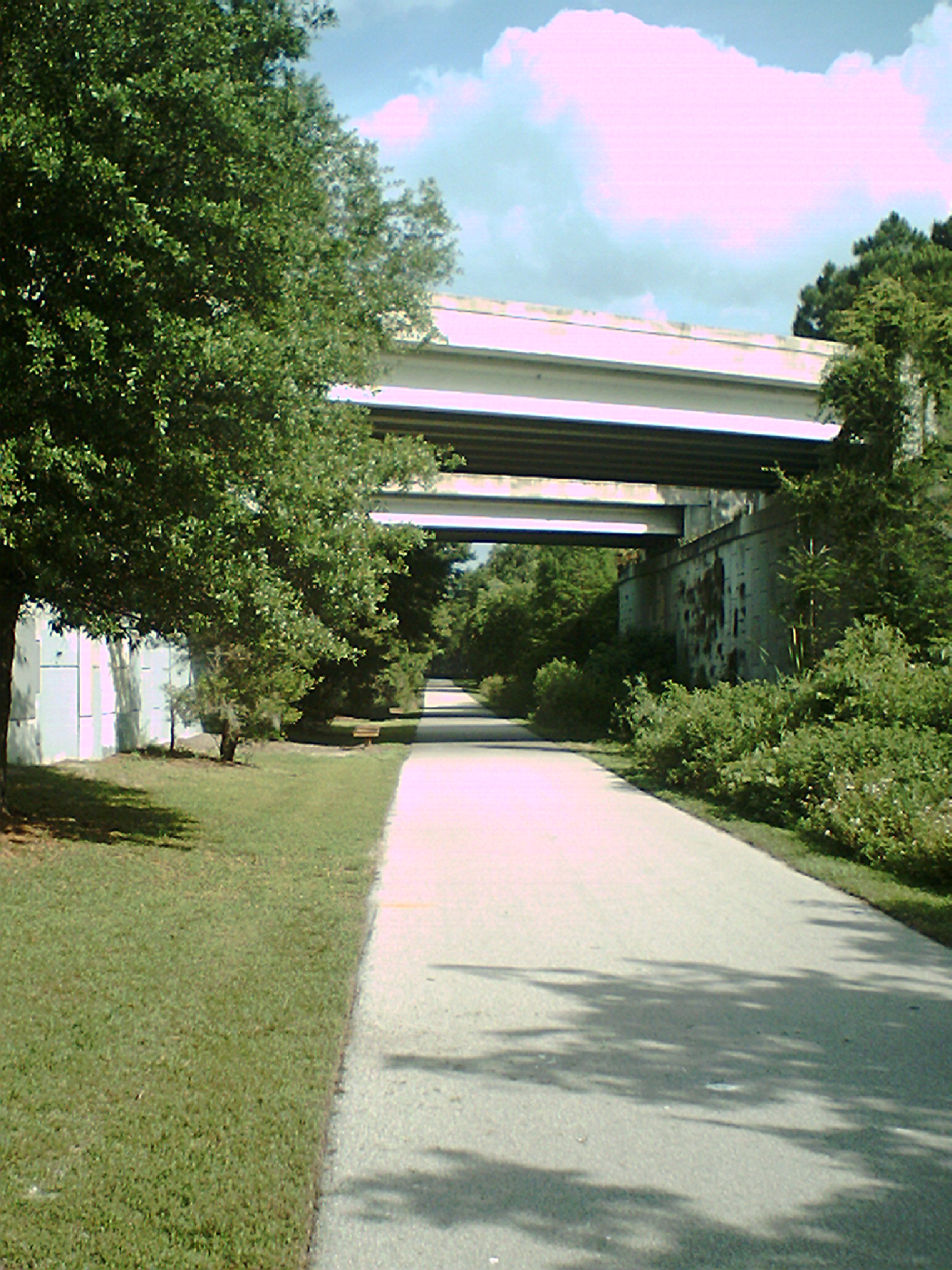 Black Hammock Trailhead Vitacourse 2000 - Winter Springs, FL