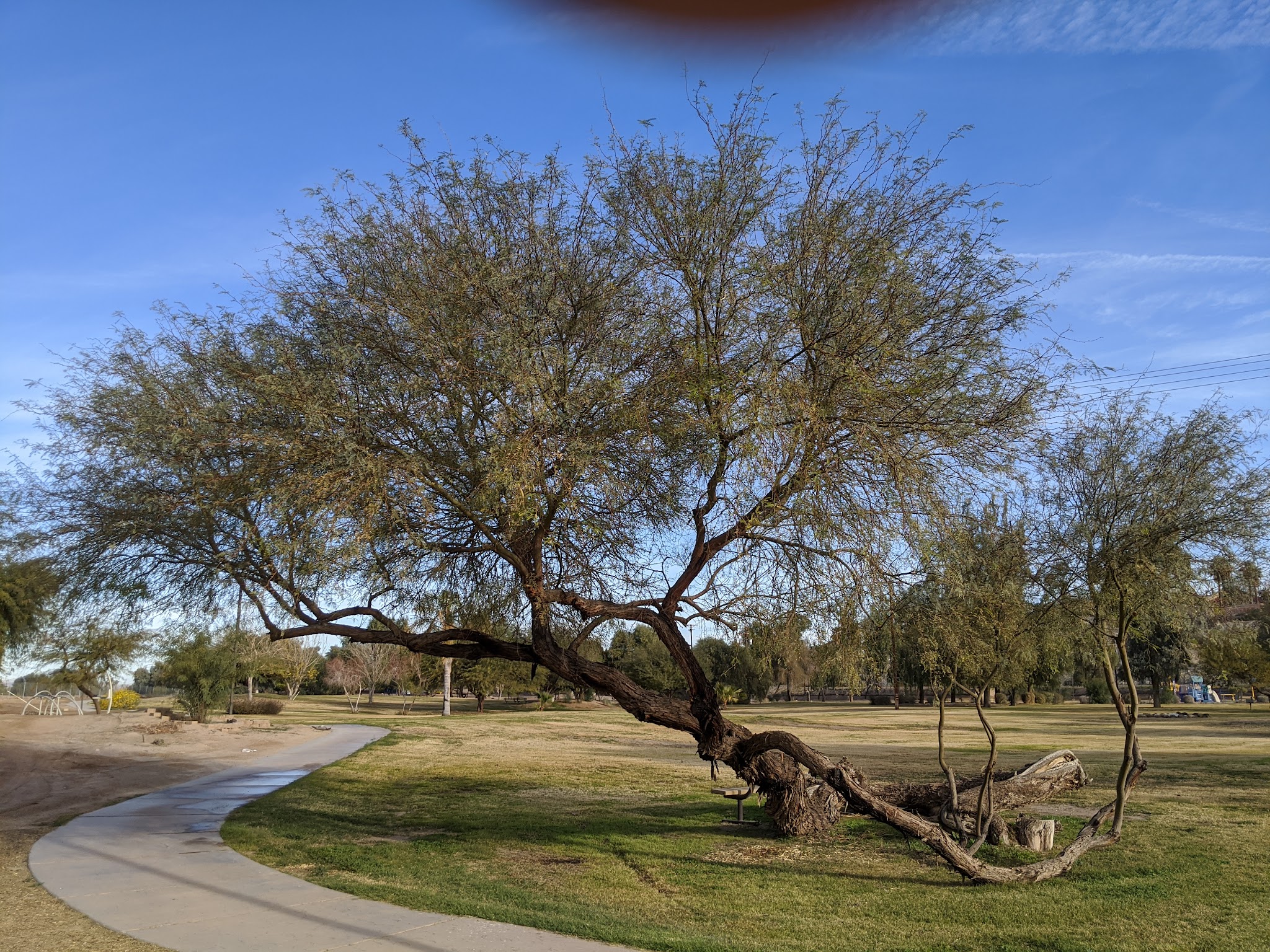 Quechan Walking Trail Park - Winterhaven, CA