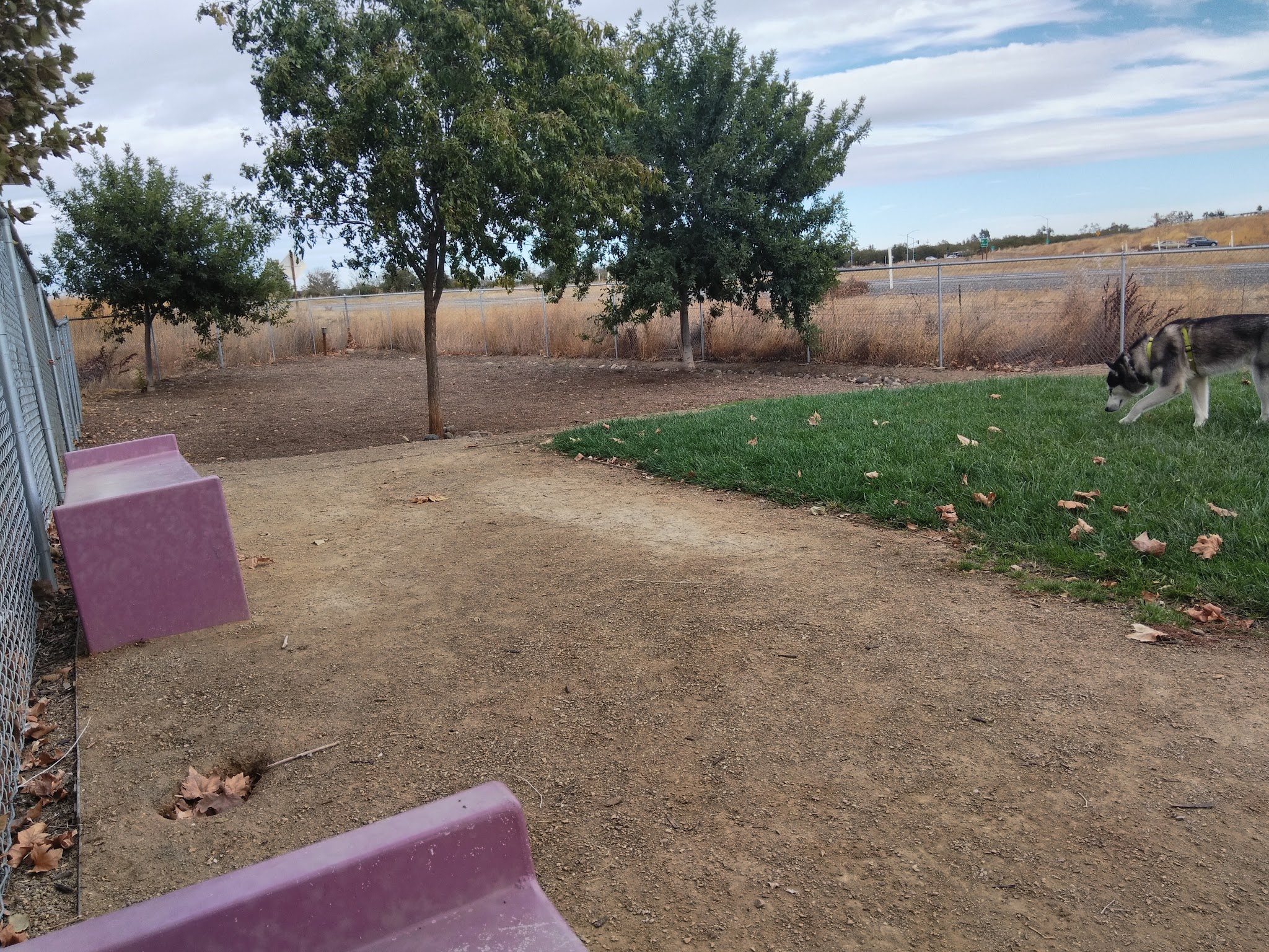 Willow Canal Dog Park - Winters, CA