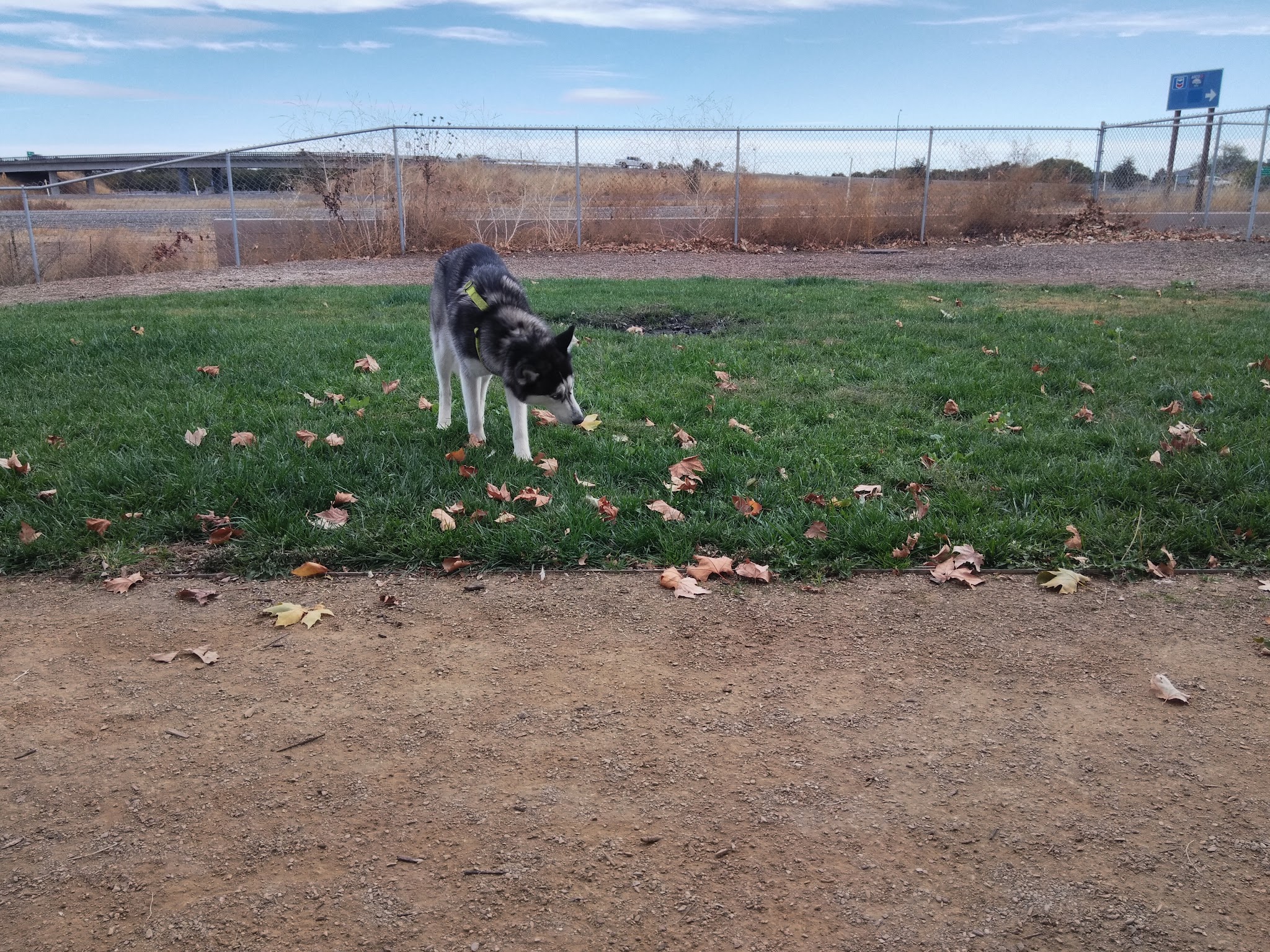 Willow Canal Dog Park - Winters, CA