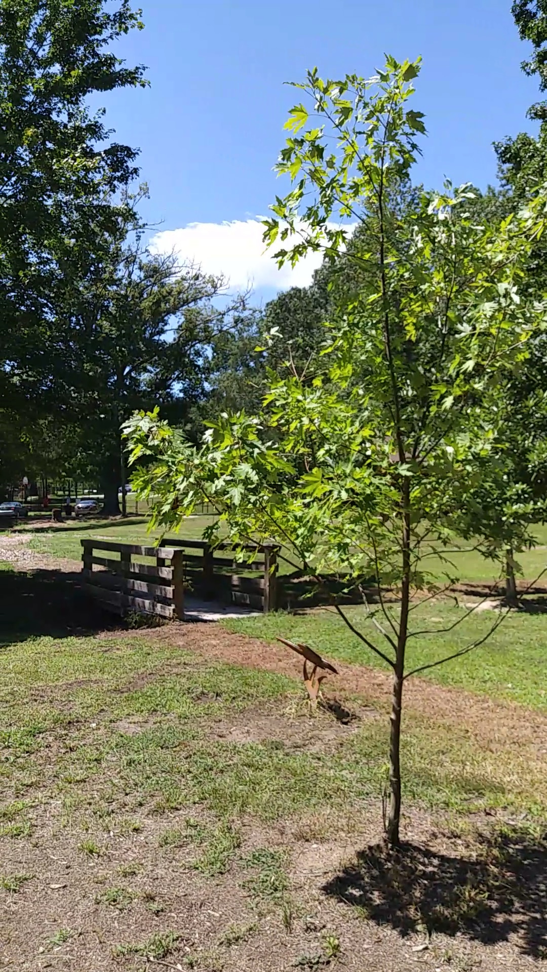 Pittard Park - Winterville, GA