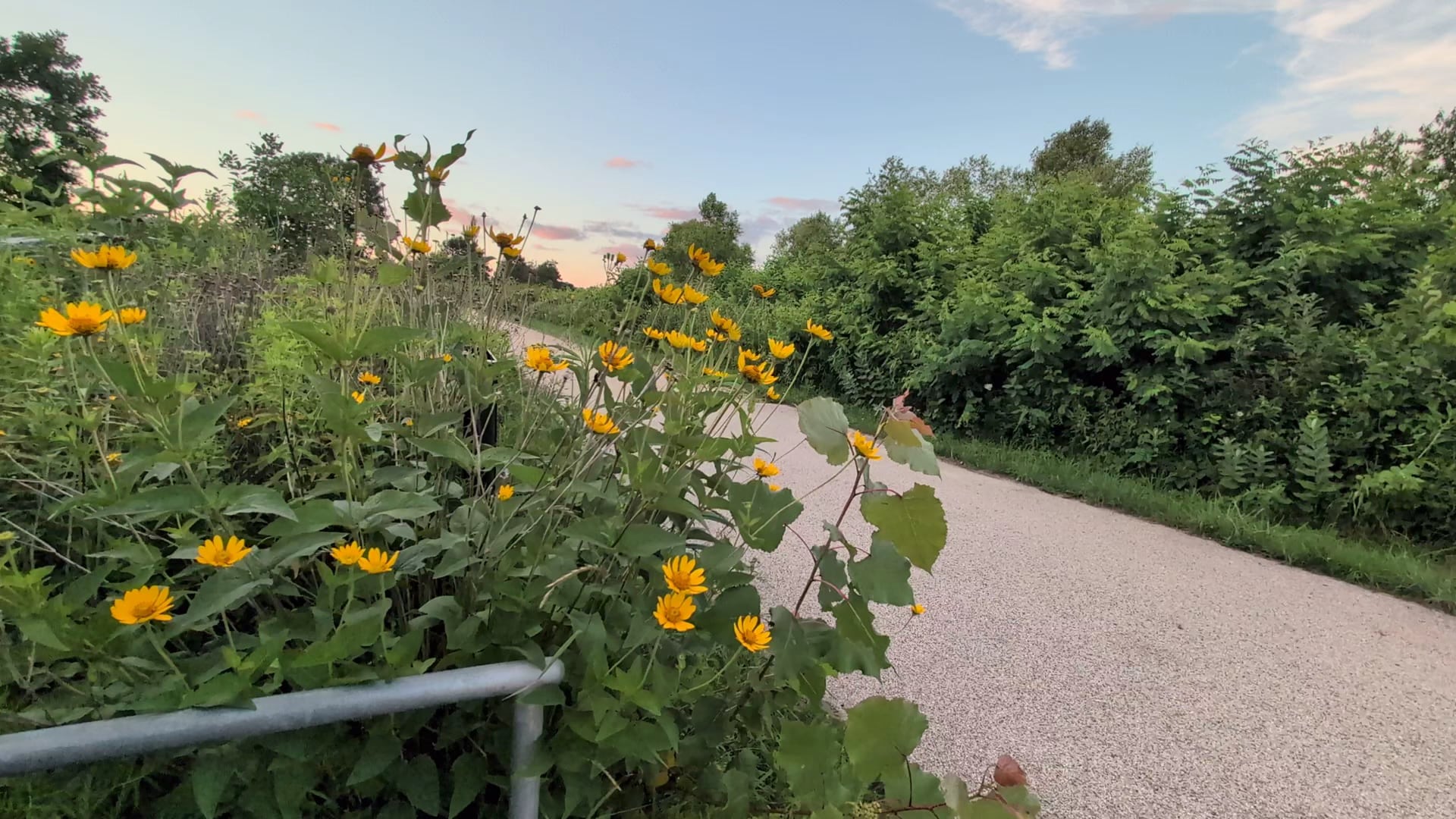 Spring Bluff Forest Preserve - Winthrop Harbor, IL